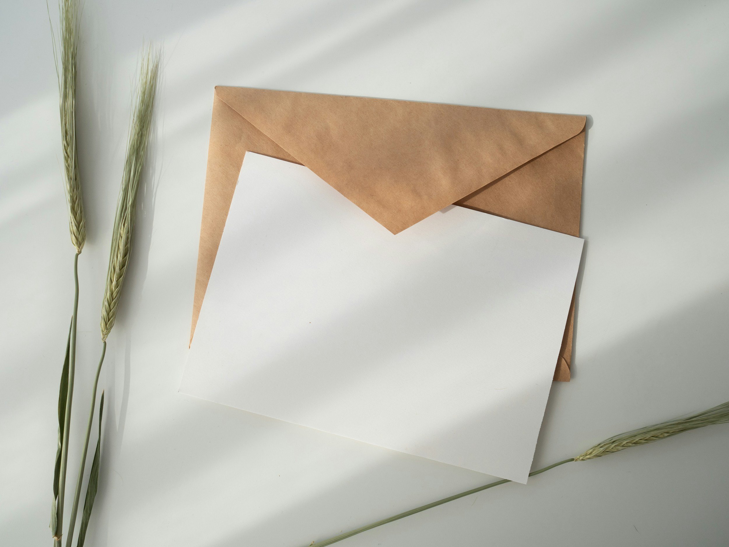 unsplash-image-xmddEHyCisc.jpg