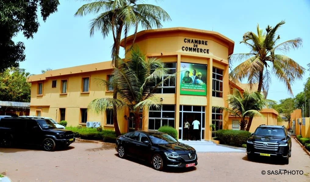 WhatsApp Image 2026-03-26 at 15.16.14.jpeg