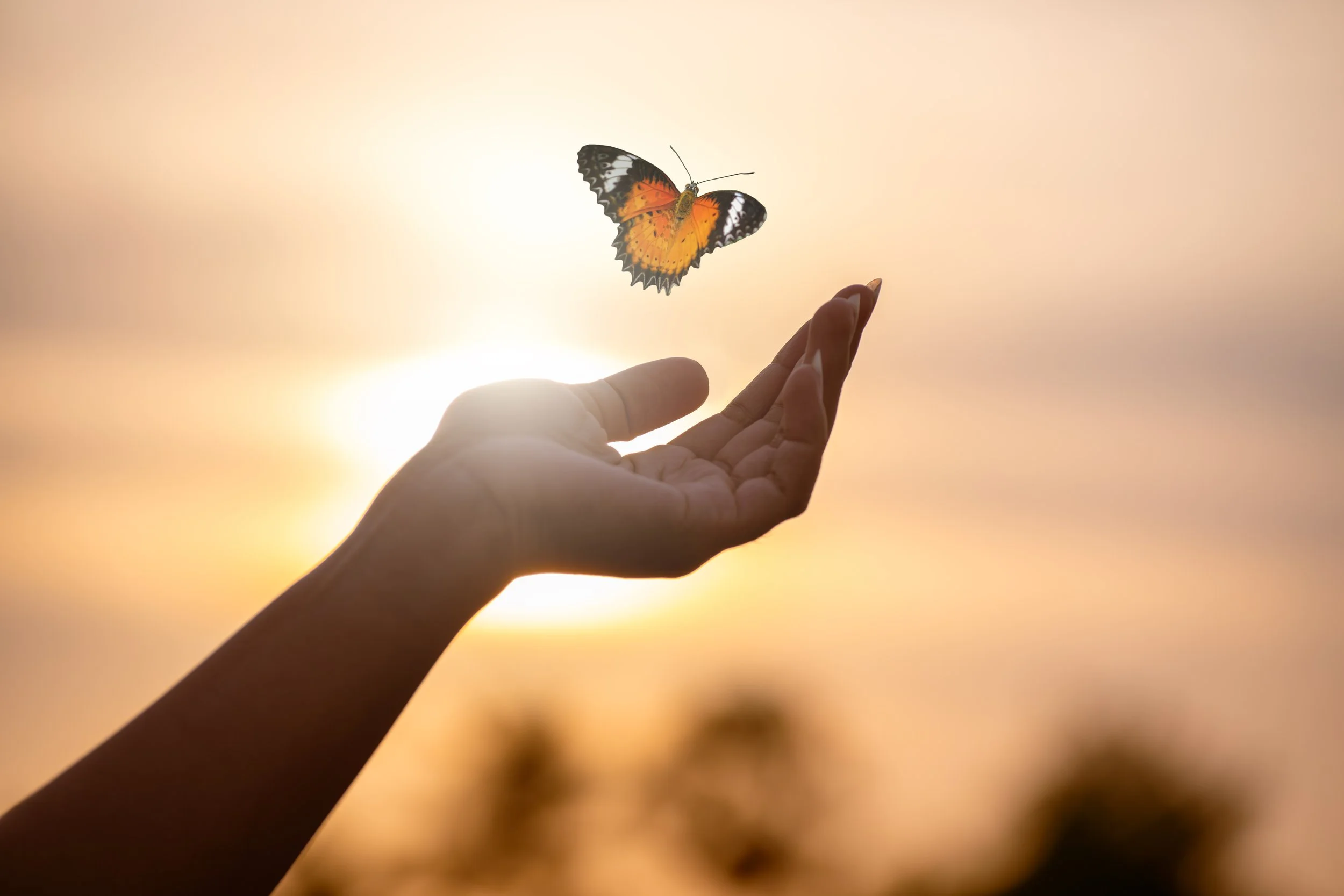 A person releases a butterfly from their hand