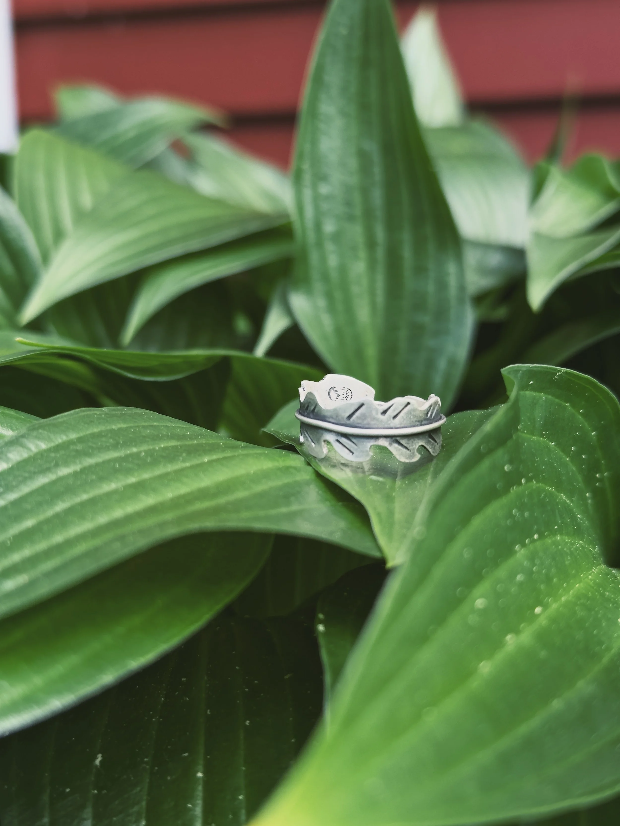 Sweet Fern Ring