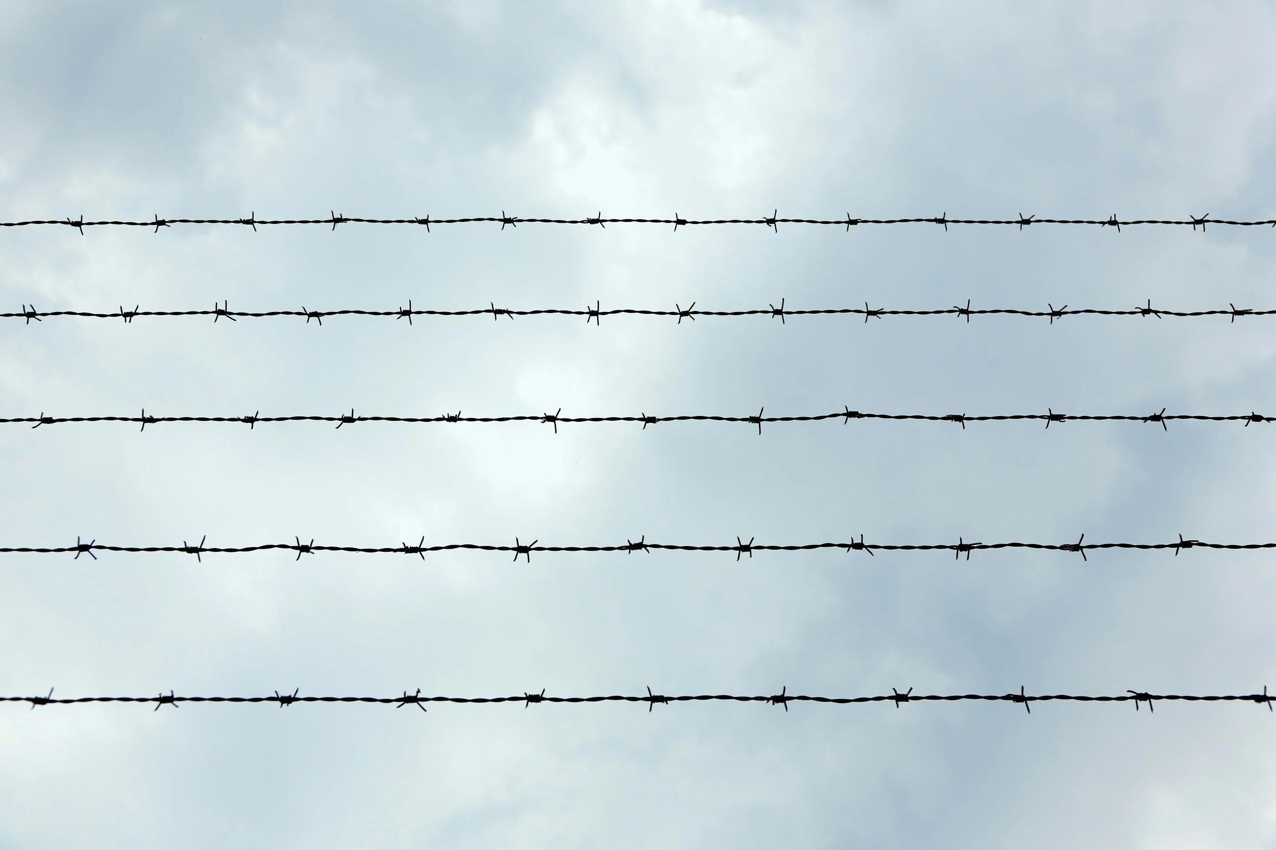 A Case Study in Crisis Management: Securing Release from Thai Prison