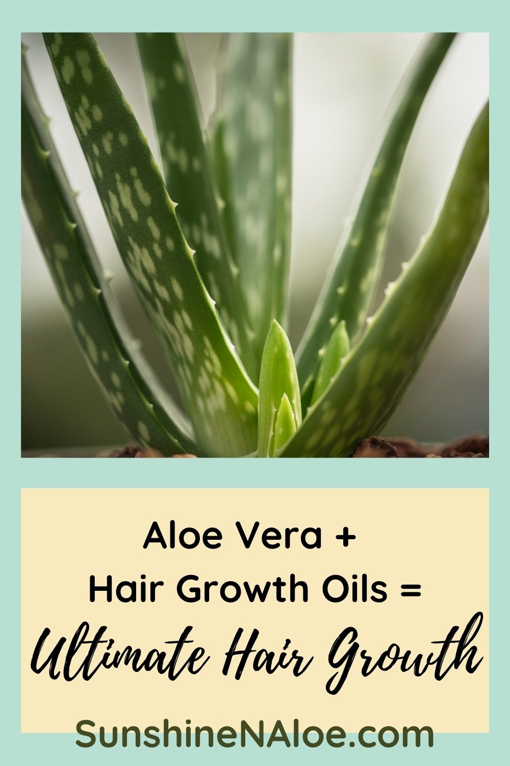 6 Hair Growth Oils You Can Mix with Aloe Vera — Sunshine and Aloe