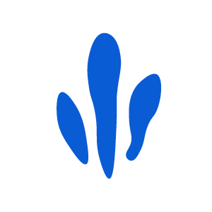 A black background with a blue abstract shape resembling a flower or plant with five elongated petals.