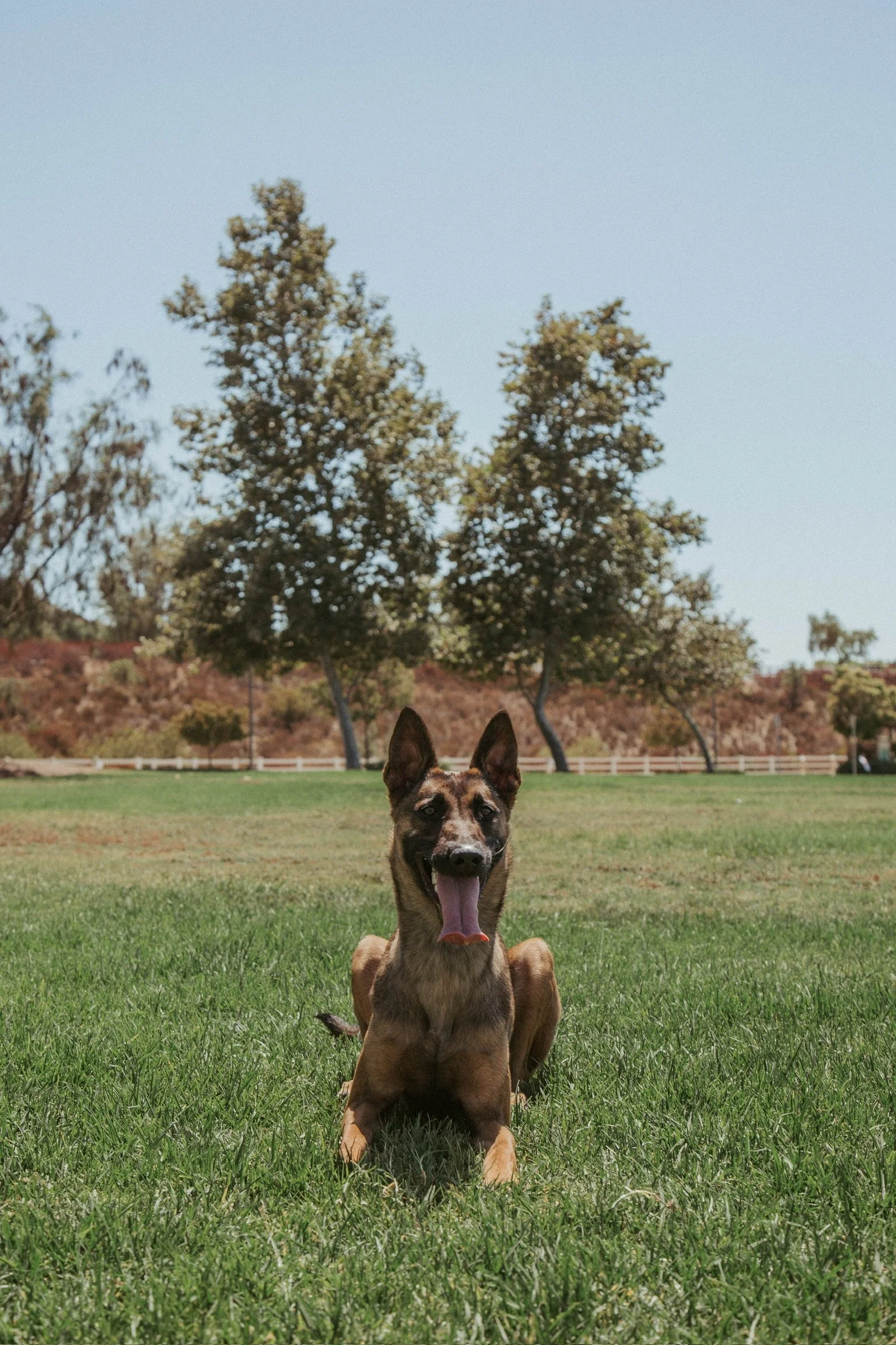 Karma (2).JPG