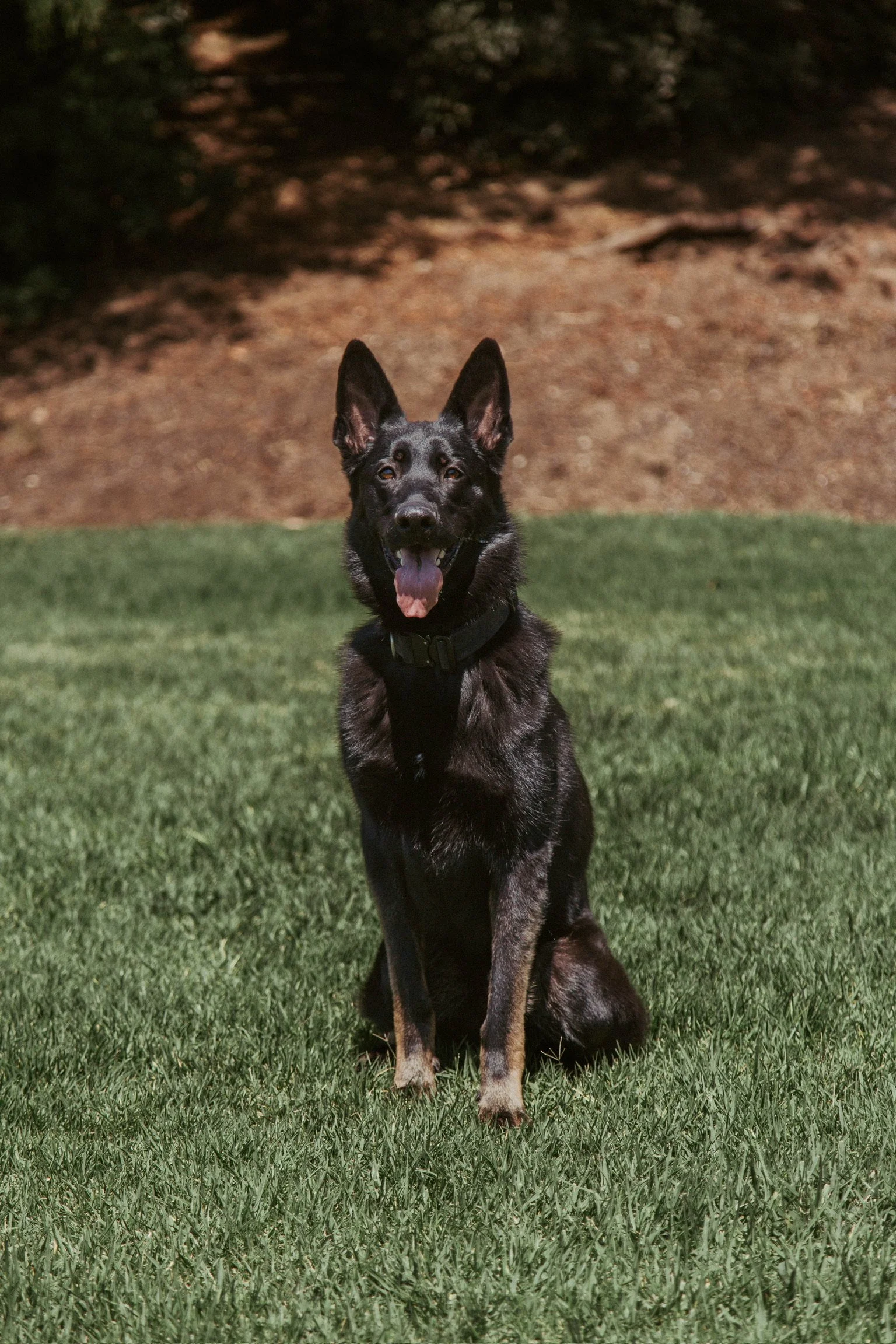 Hades (2).JPG