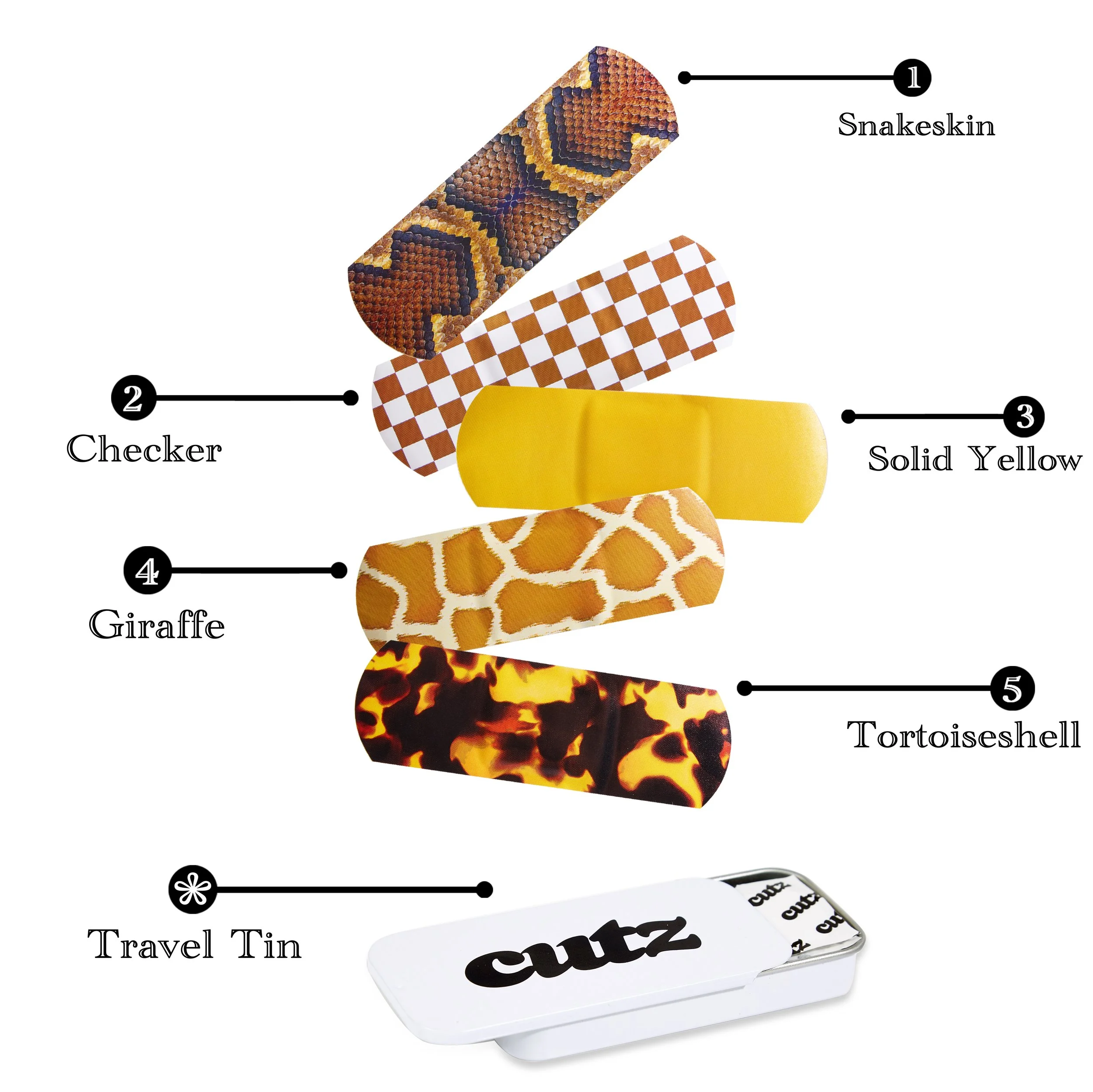 1.1Display2 copy.jpg