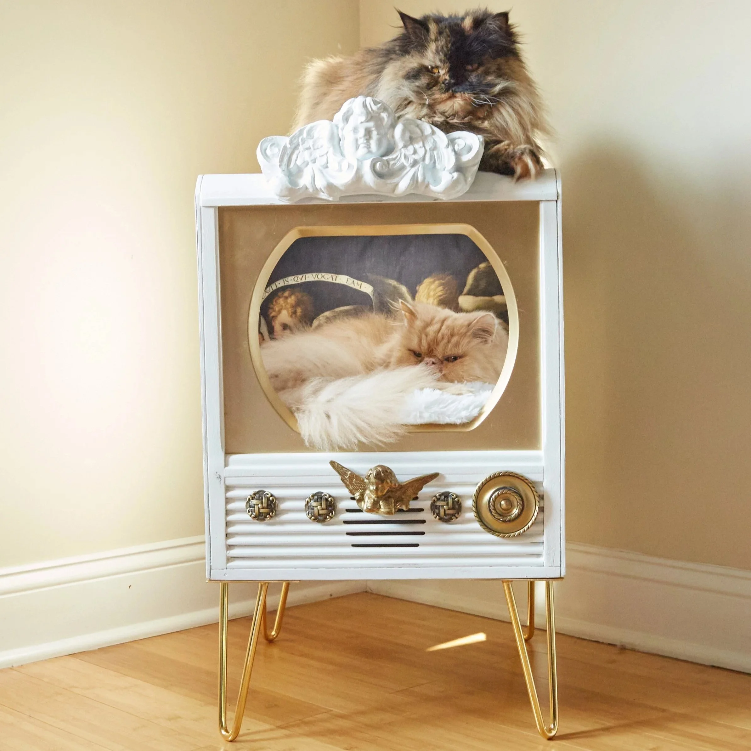 Cherub Cat Haus