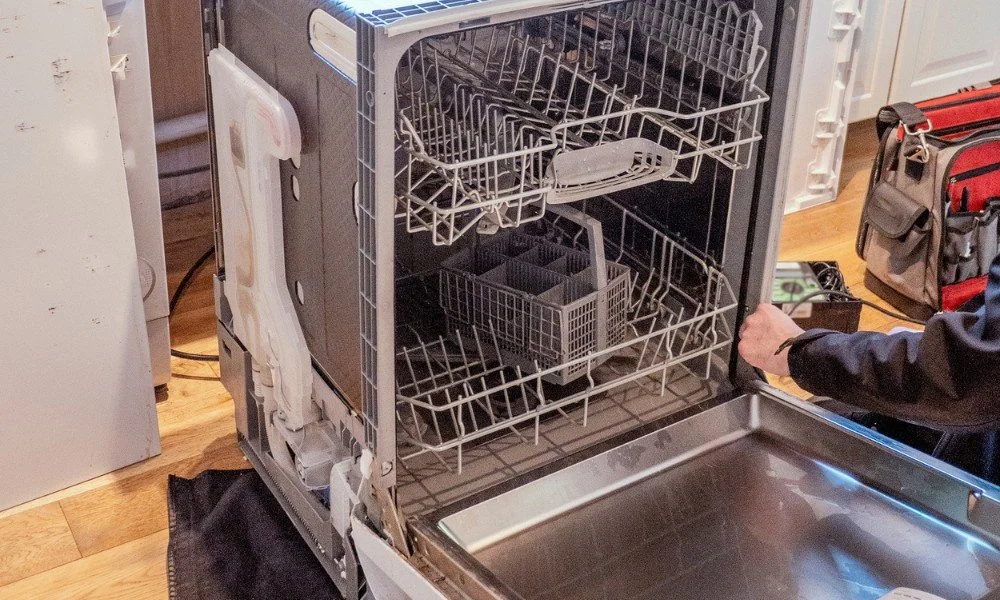 dishwasher gall2.jpg