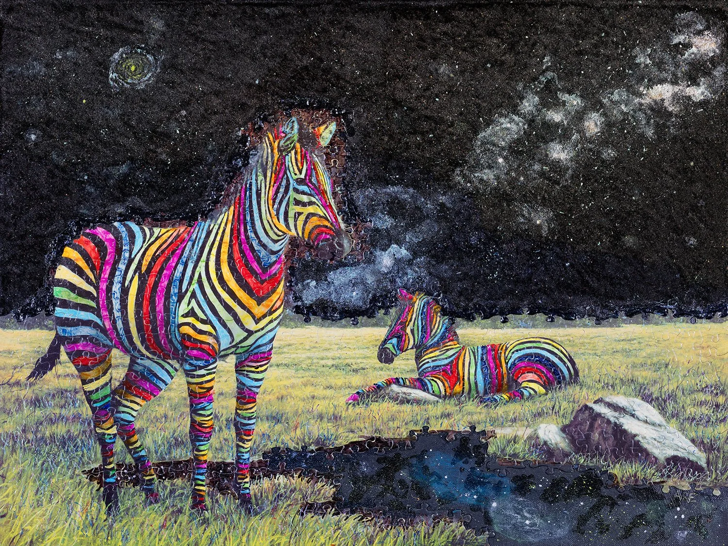Rainbow's Everwhere.jpg