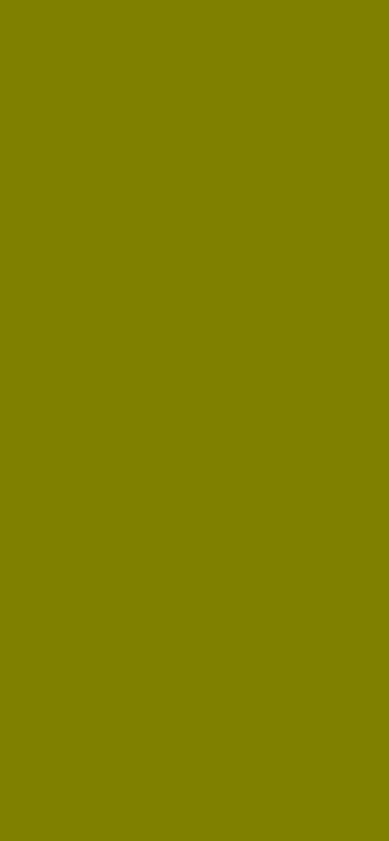 Unit 1 - Olive Green