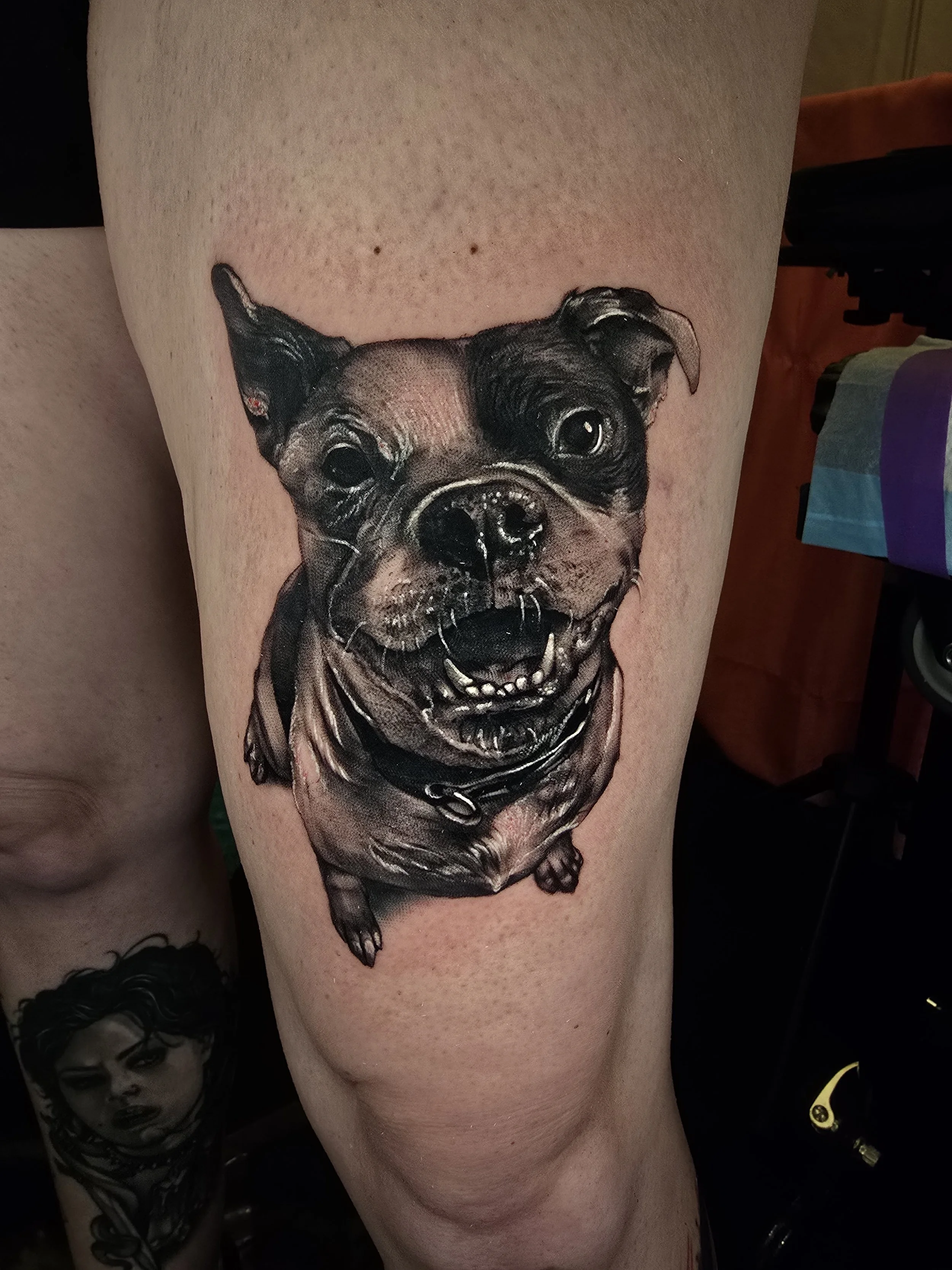 Realistic Pet Portrait Tattoo Dog