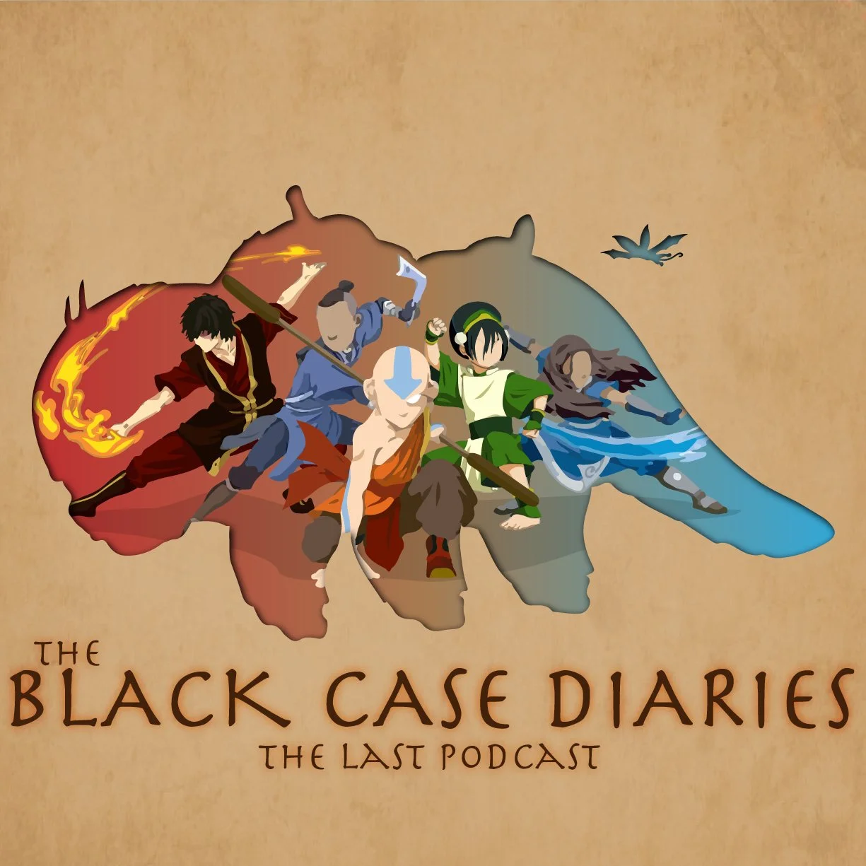 Avatar: The Last Air Case