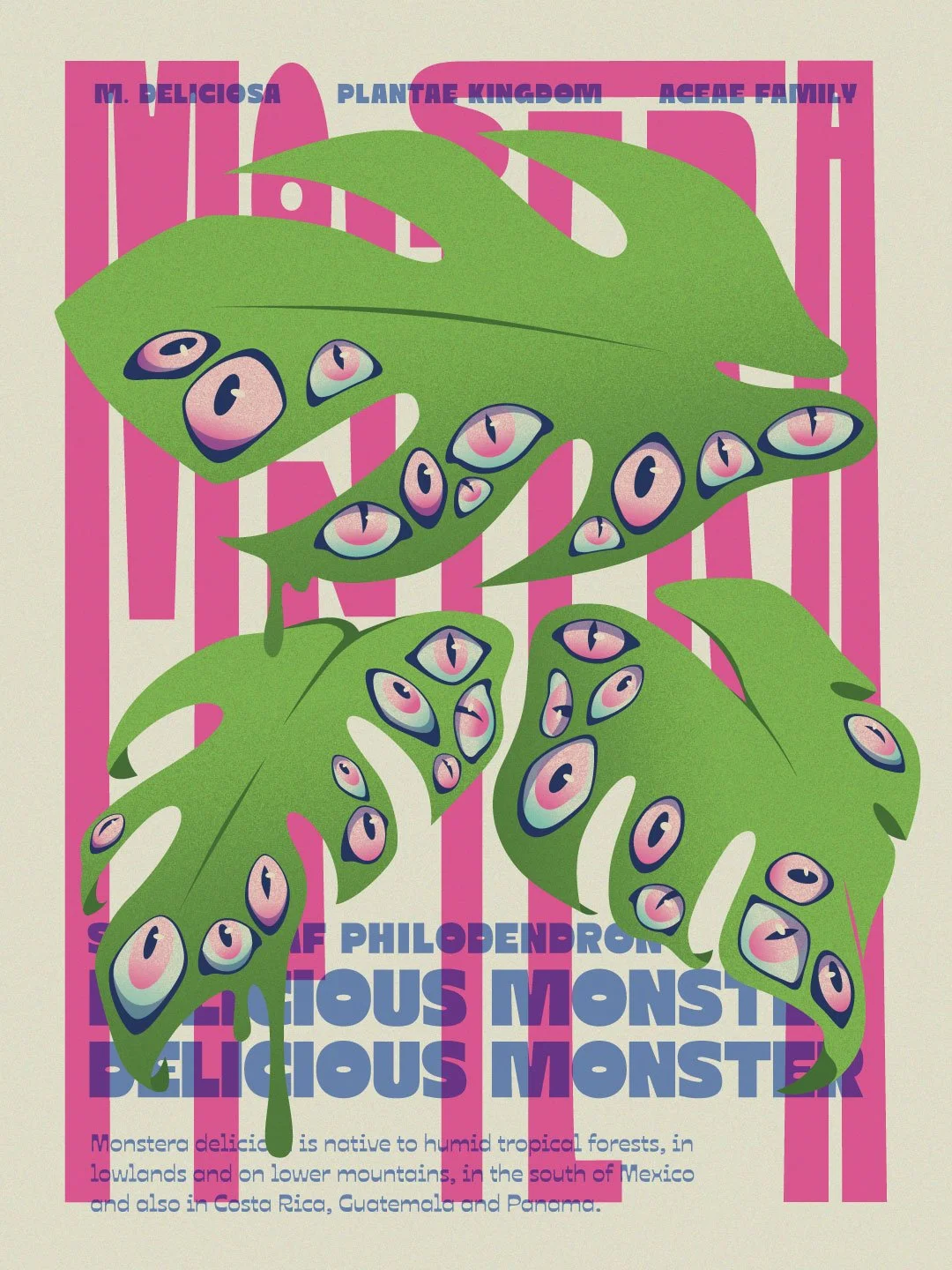MonsterraRiso_v5.jpg