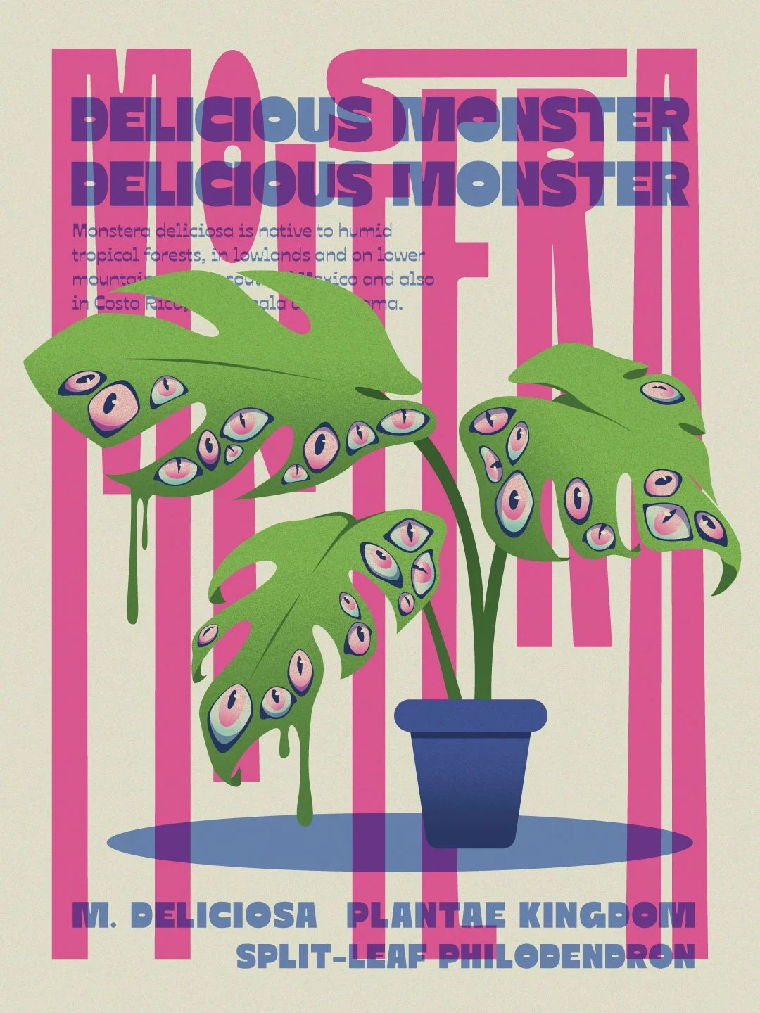 MonsterraRiso_v4.jpg