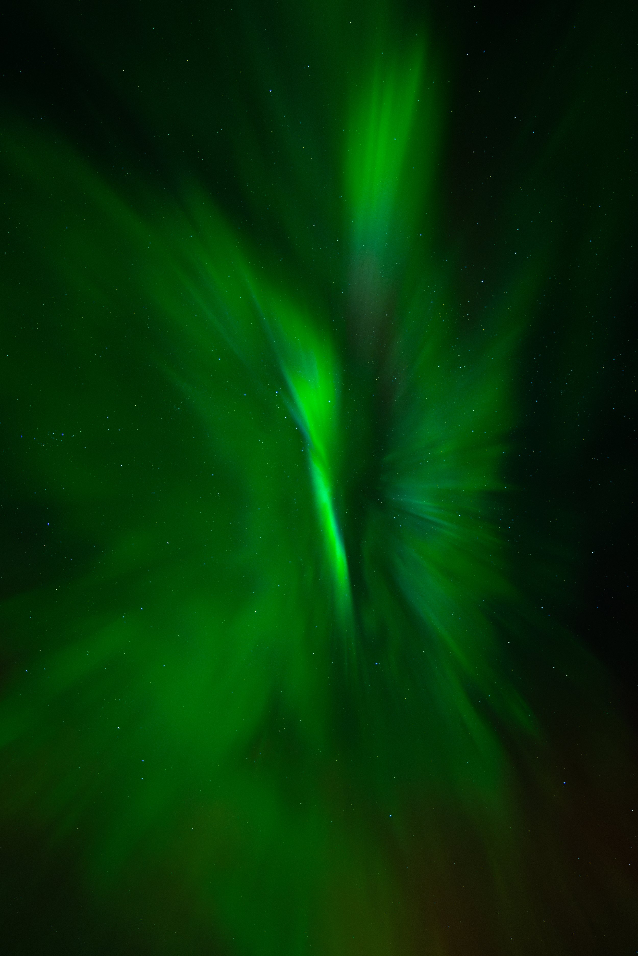 20241007-_1162731-Enhanced-NR.jpg