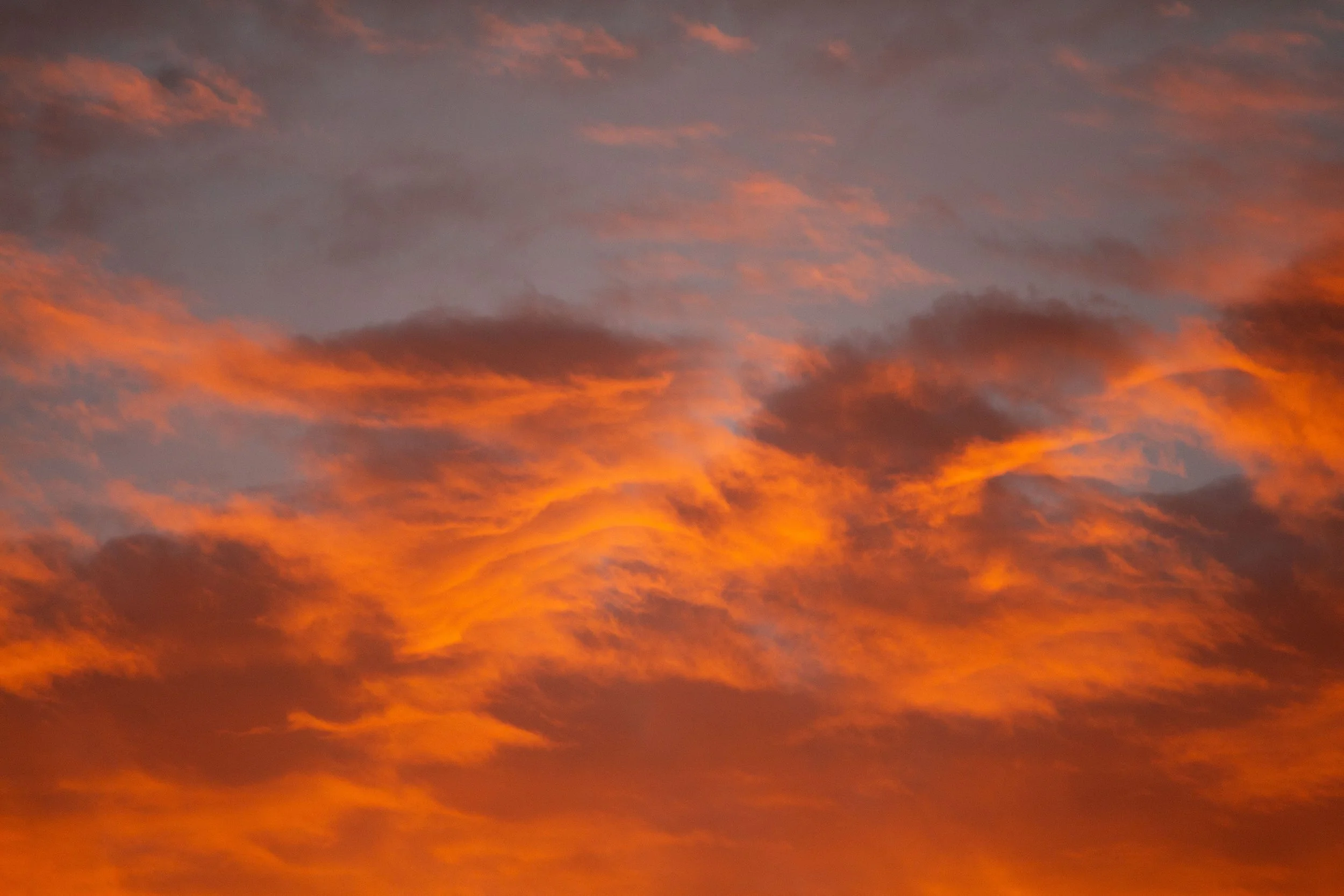 2024GG Golden Wave -Fishermans Bay Mornington-0152.jpeg