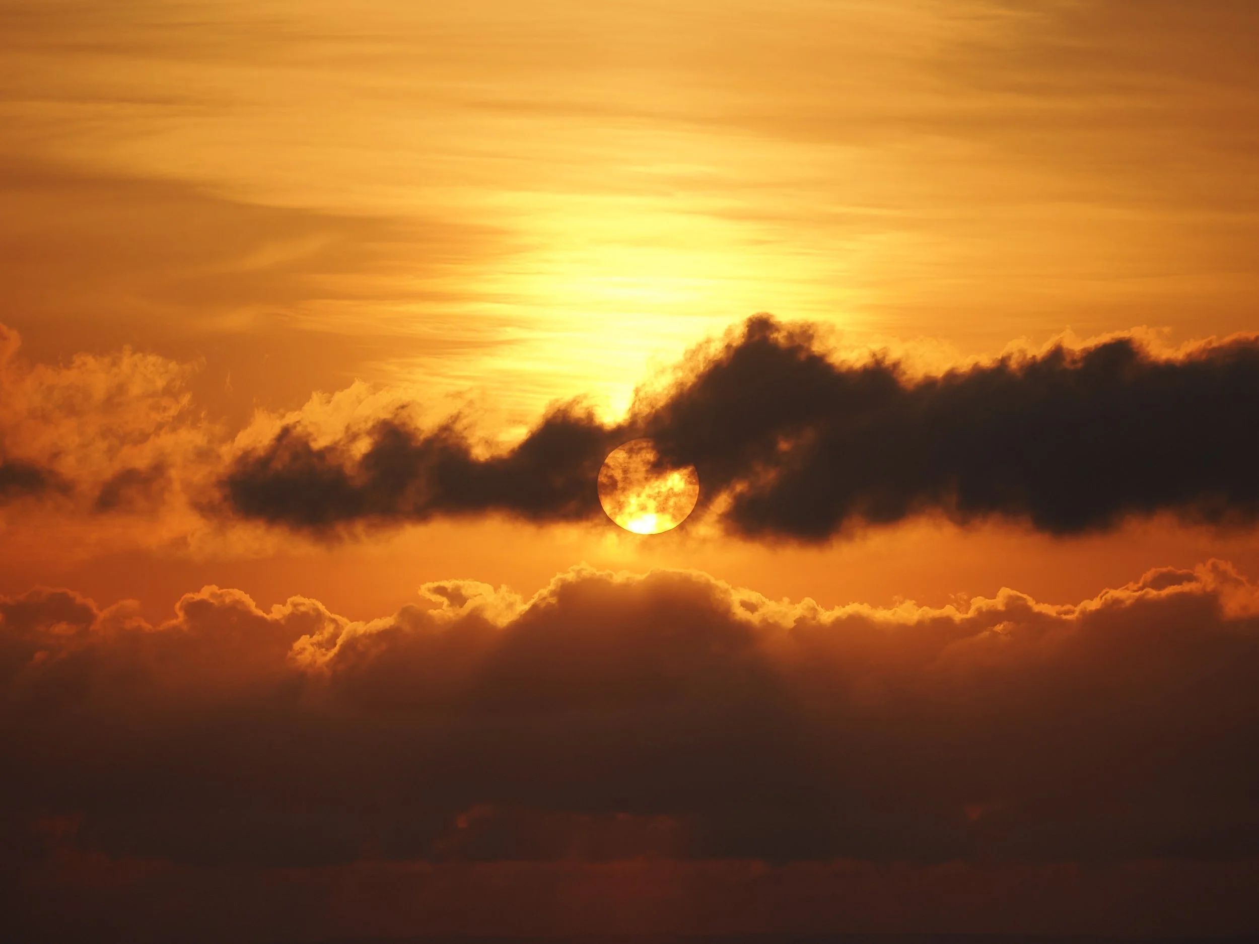 2024GG Endless Energy - Fishermans Beach Mornington P4040714.jpeg