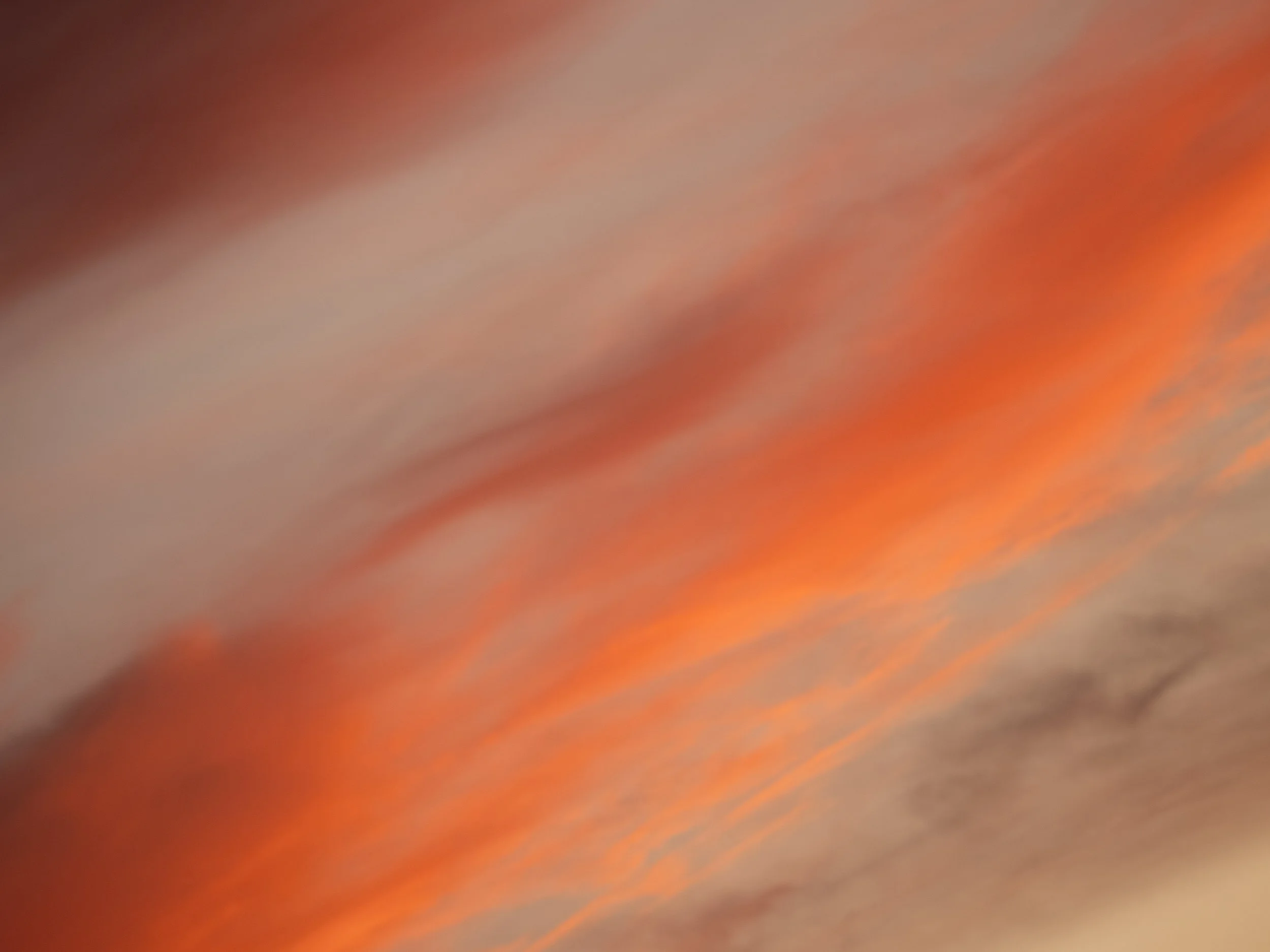 2024GG Restful -Mornington-8170160.jpg