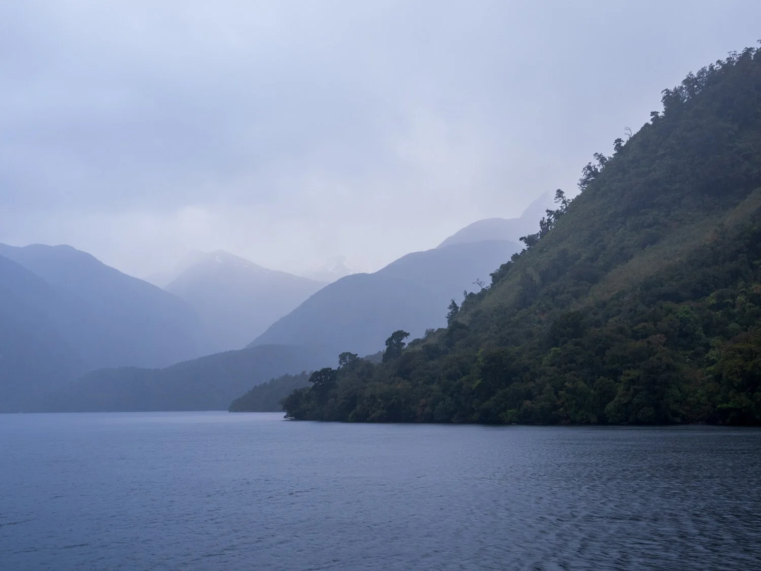5. Sue March - Doubtful Sound.jpg