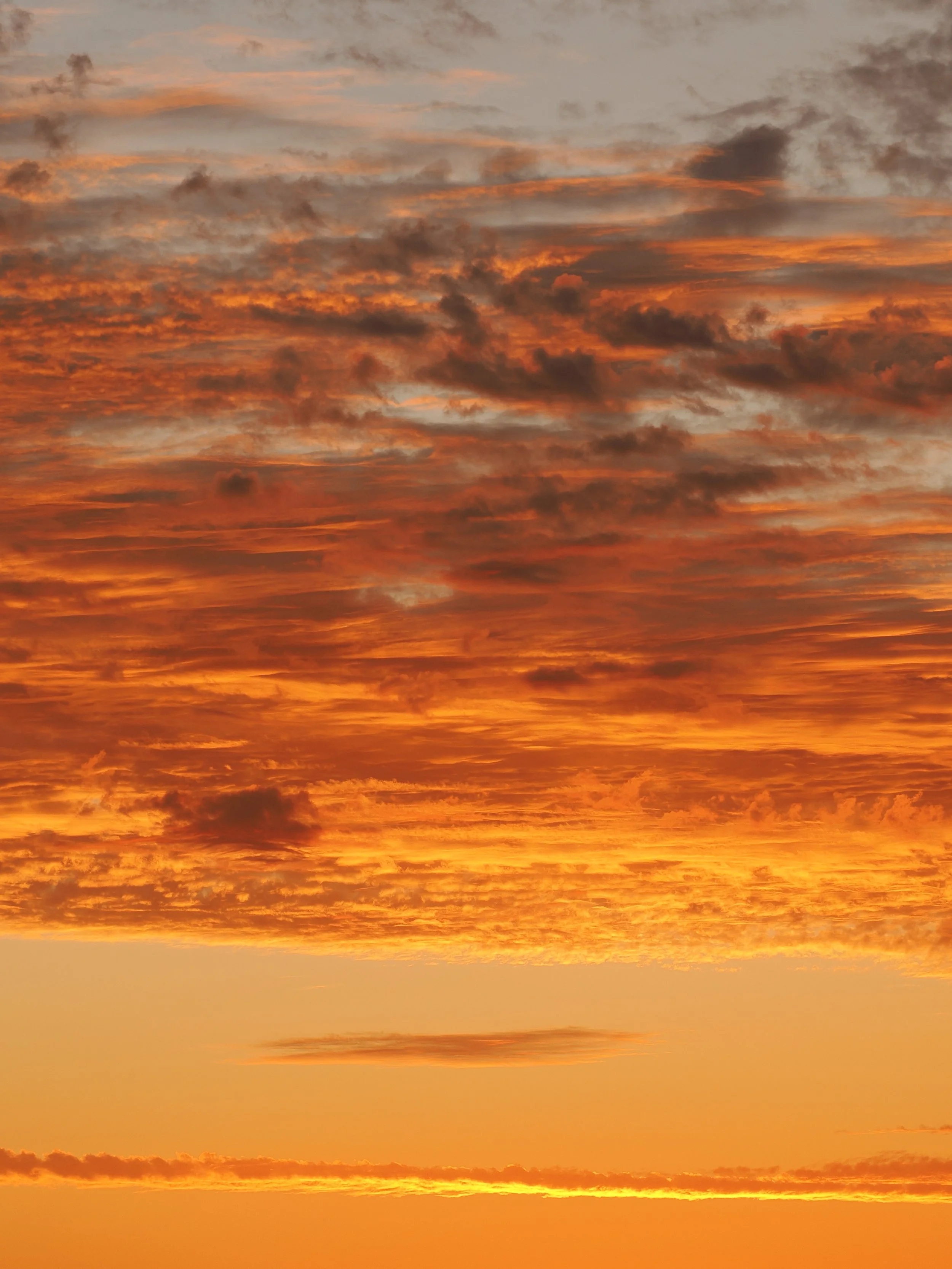 2024GGCover Golden Touch 2 -Fishermans Bay Mornington-1200087.jpg