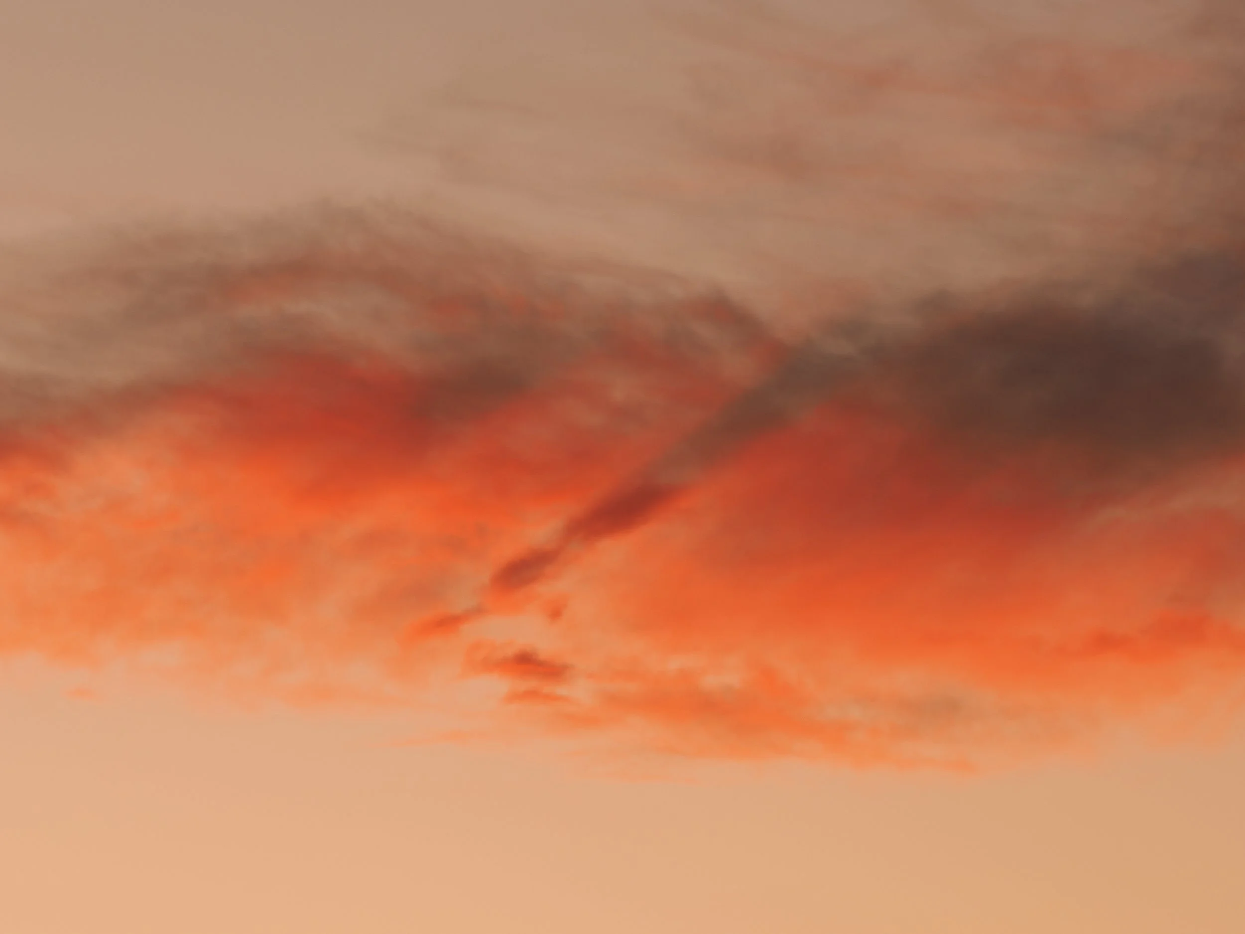 2024GG Shadow Play -Royal Bay Mornington-1151676.jpg