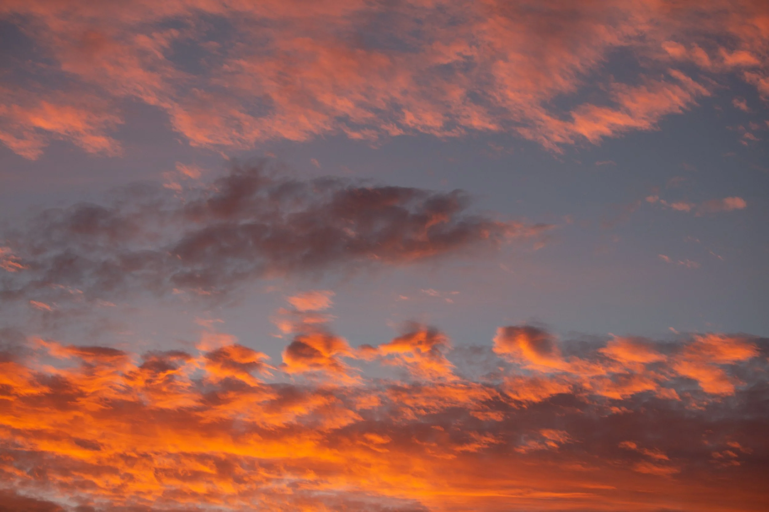 2024GG Burning Desire -Fishermans Bay Mornington-0148.jpg