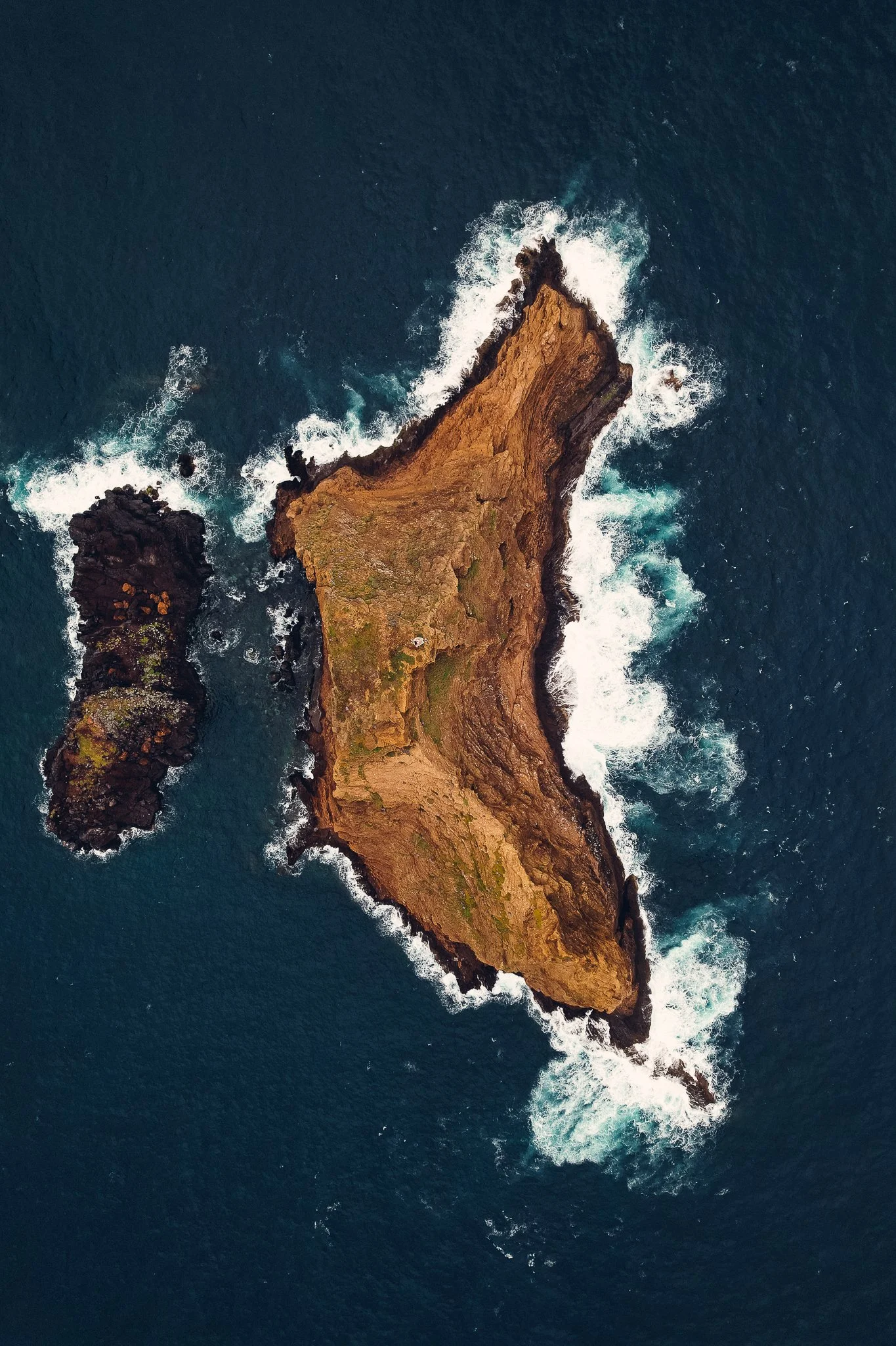 DJI_0650.jpg