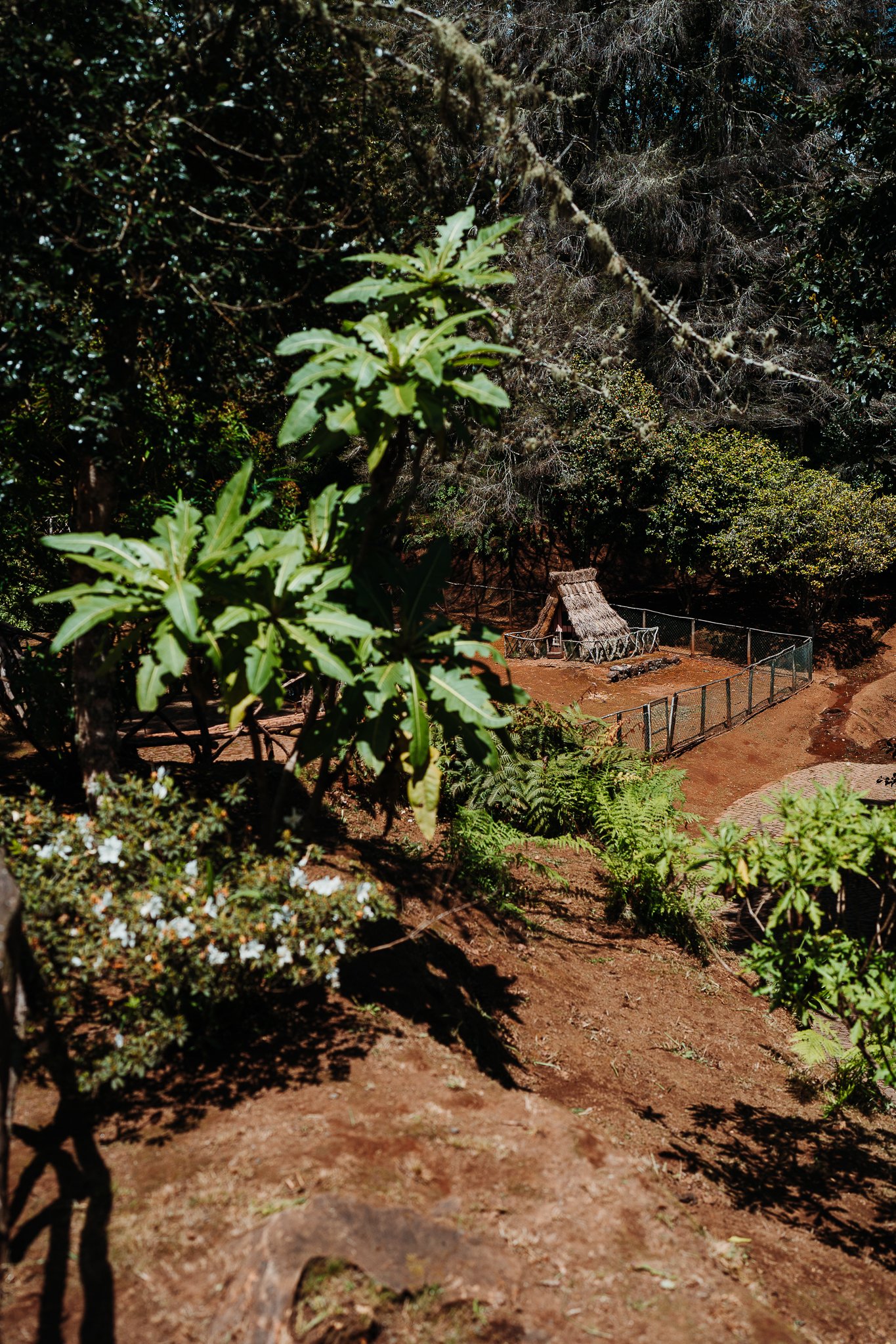 SON01678.jpg