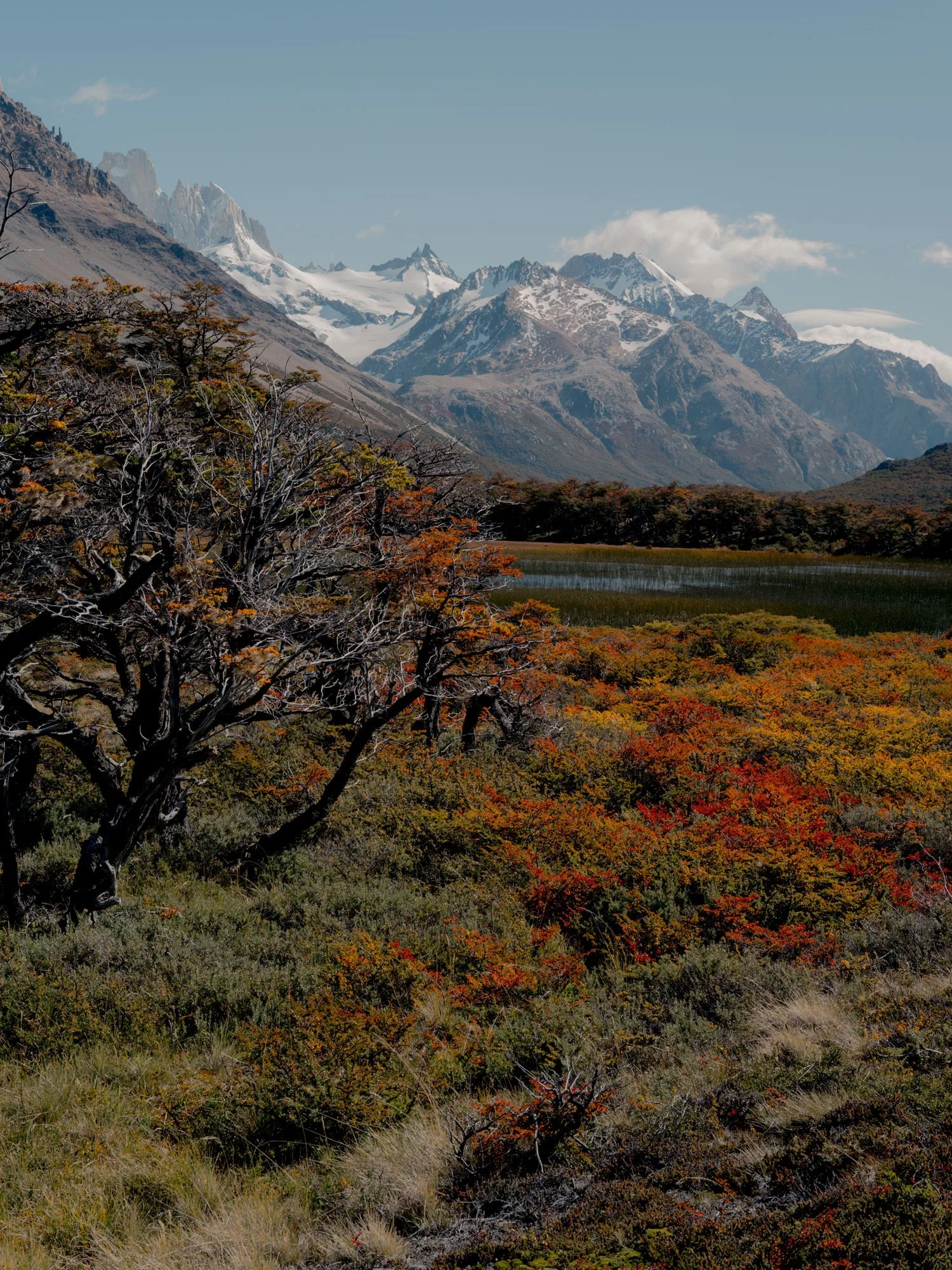 Patagonia-SamLipscomb-19.jpg