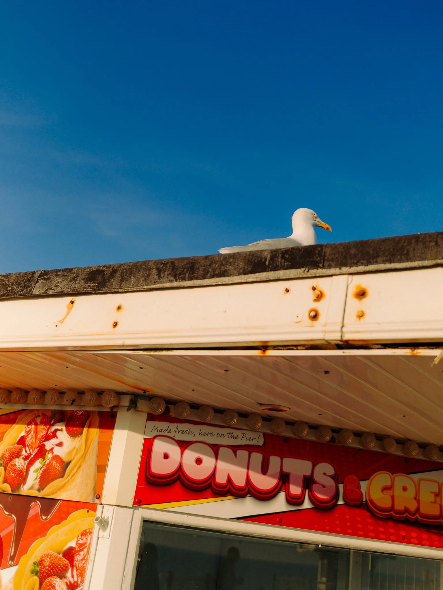 Brighton-43.jpg