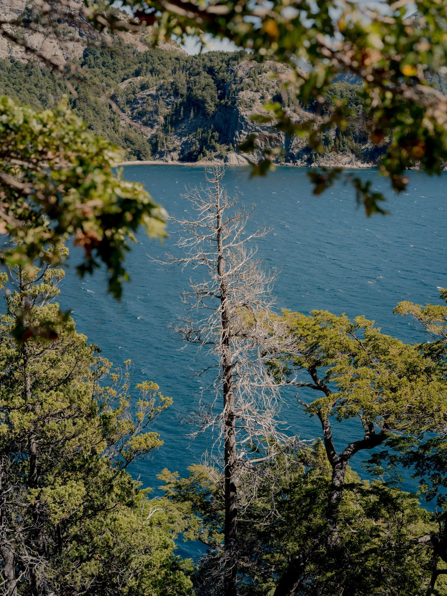 San Carlos de Bariloche