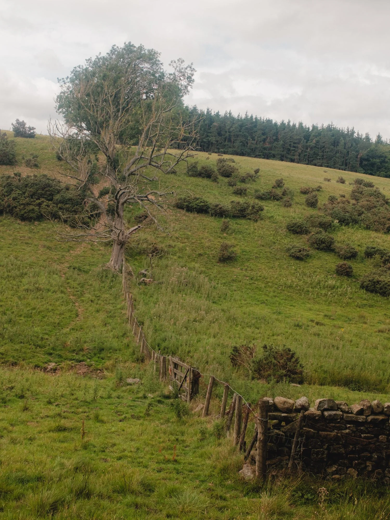 Yorkshire