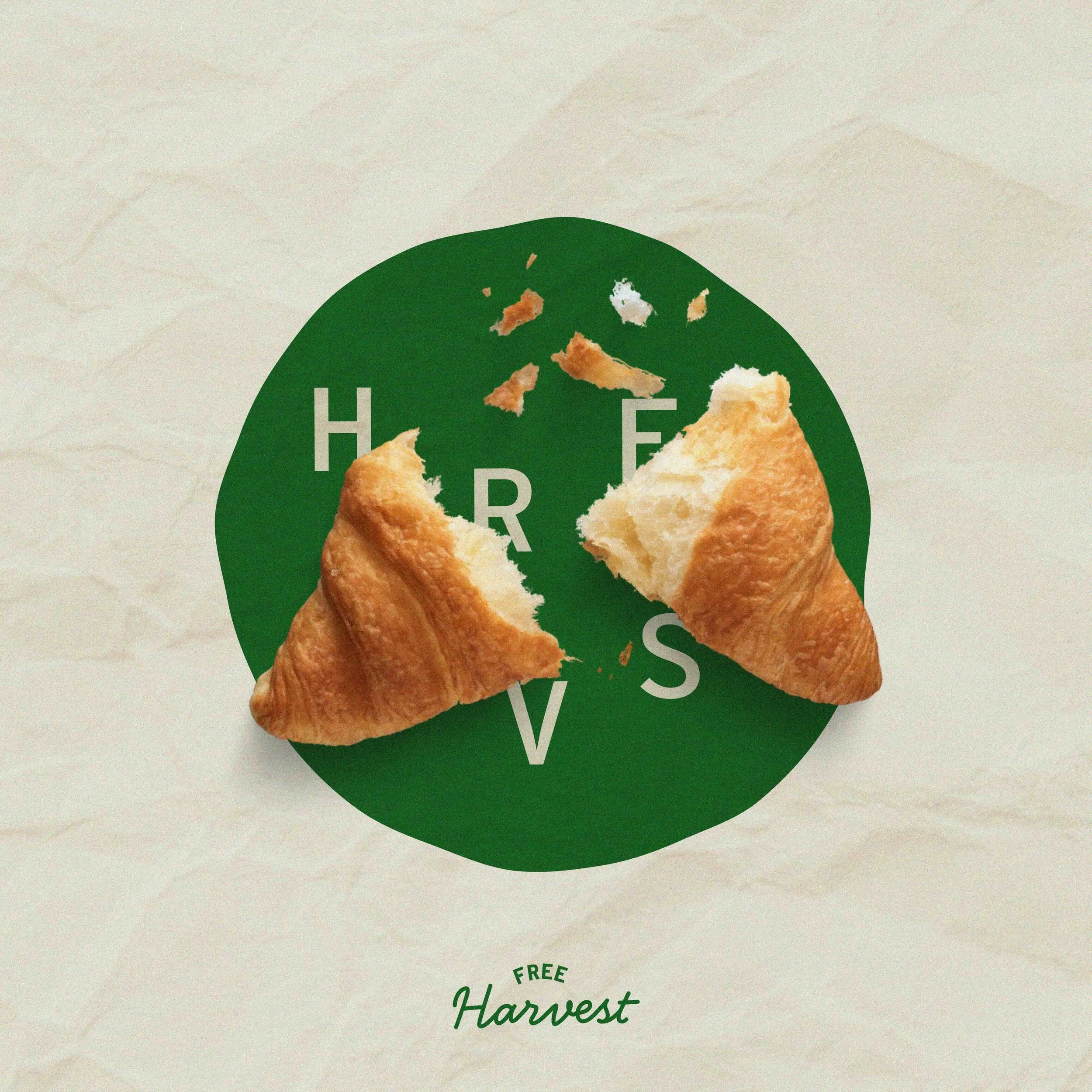 Artboard 16 copy 2b.jpg