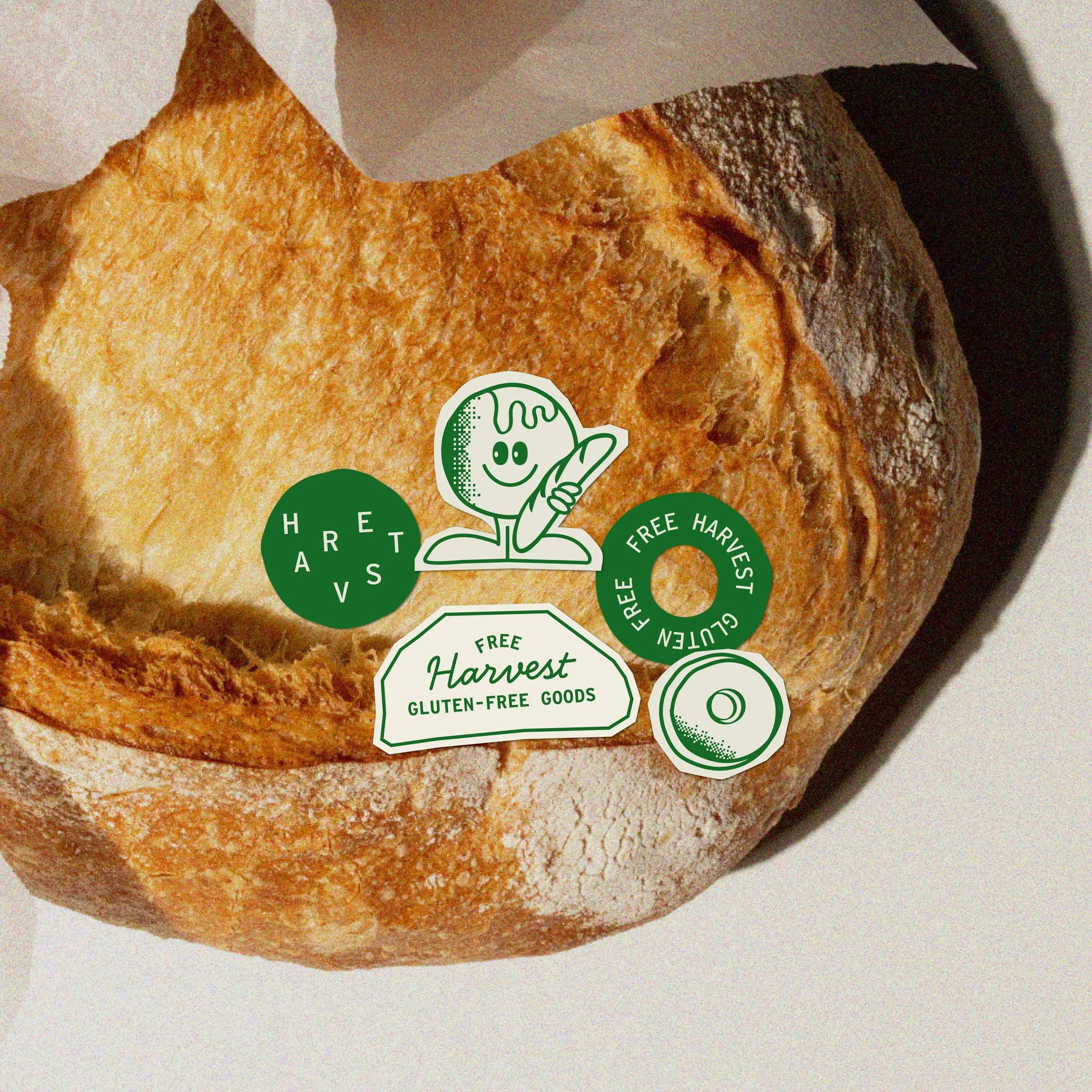 Free Harvest – Brand Identity Design