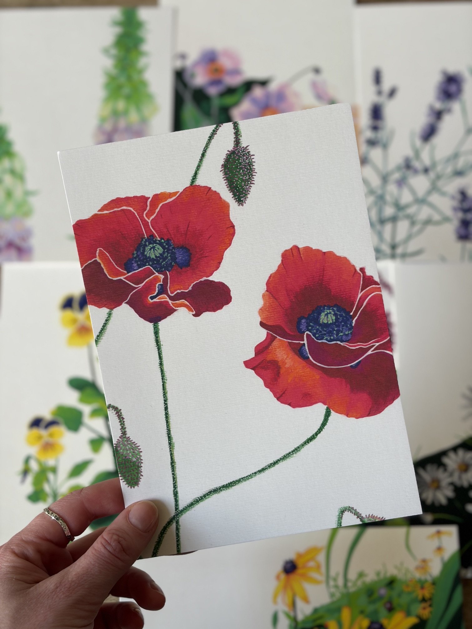 Poppies
