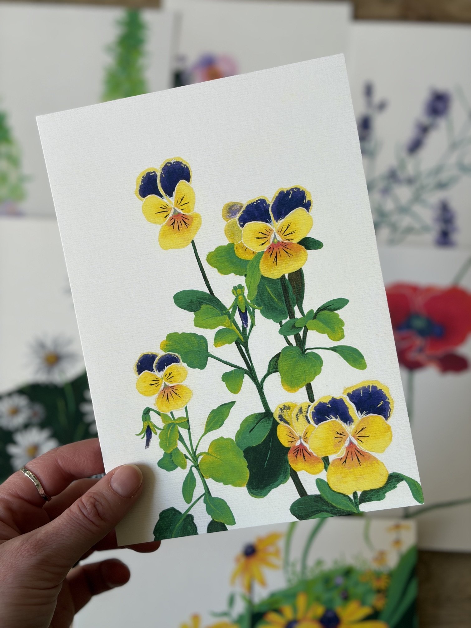 Violets