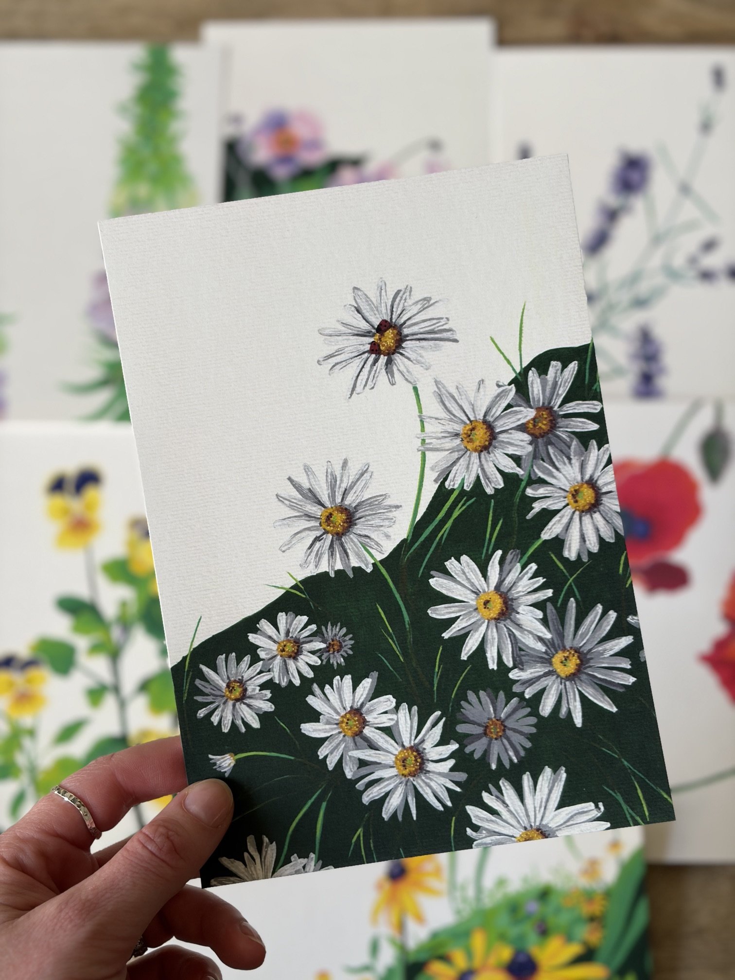 Daisies