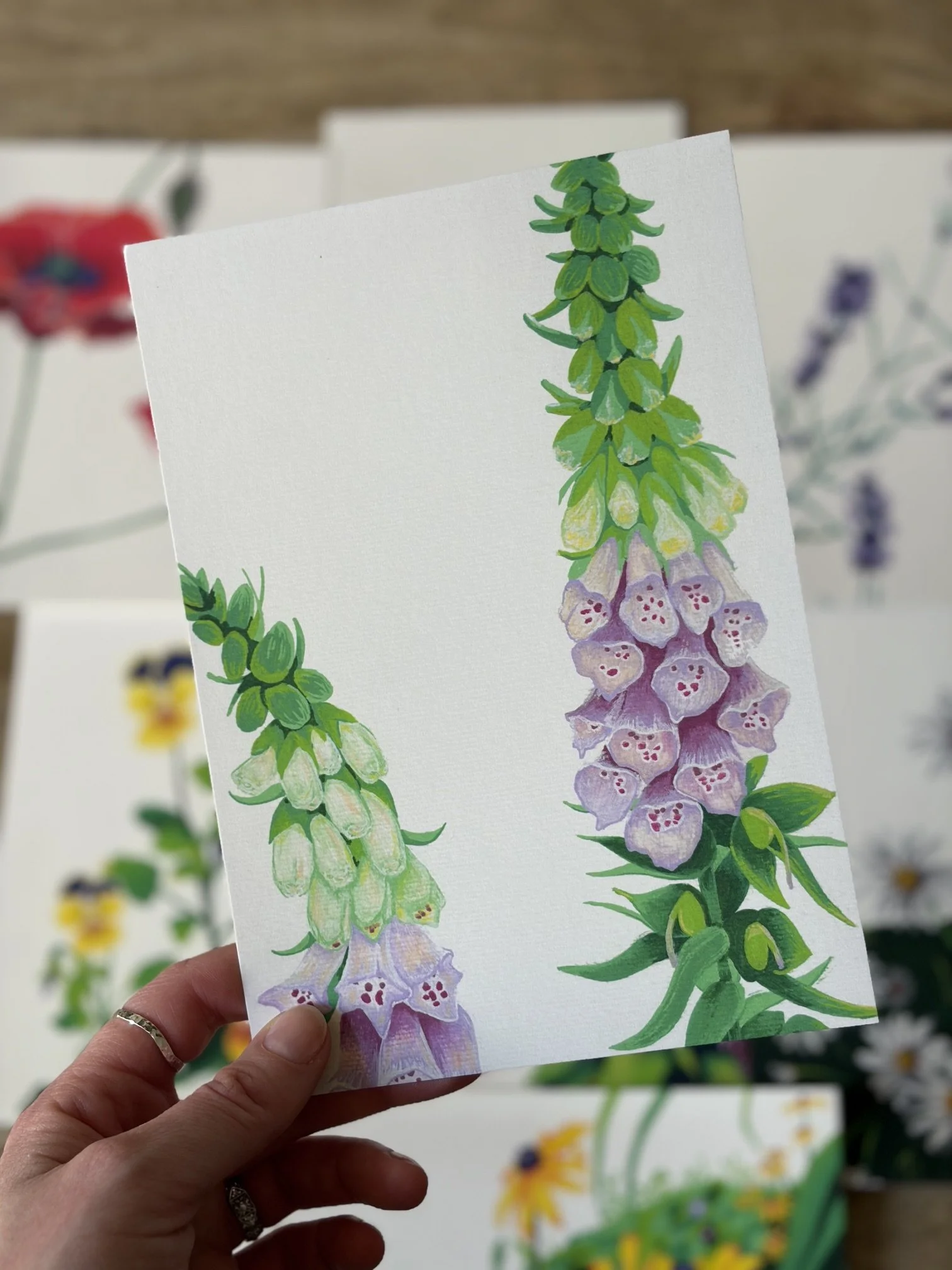 Foxglove