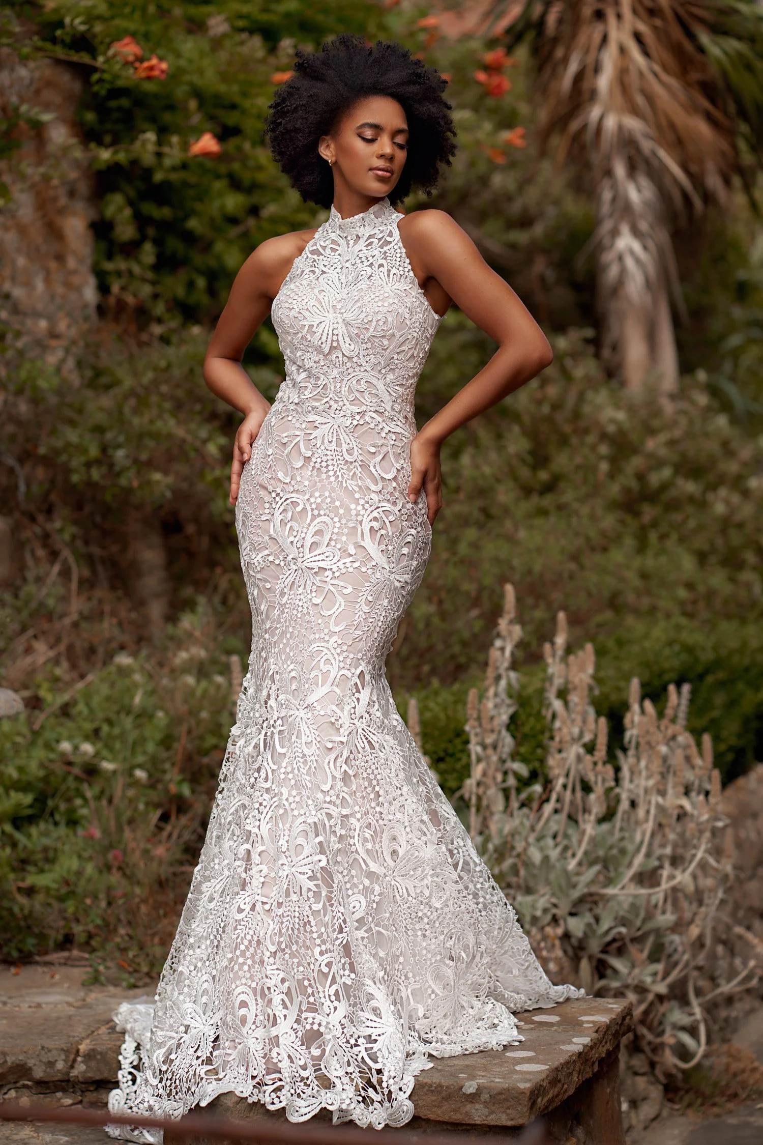 Phx HY5084 F.jpg