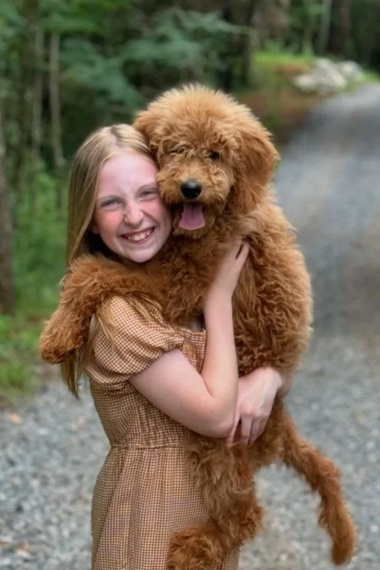 Screenshot 2025-03-20 at 4.16.15 PM.jpg