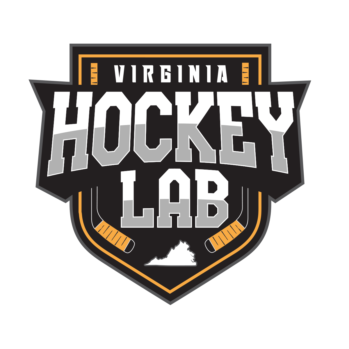 Virginia Hockey Lab