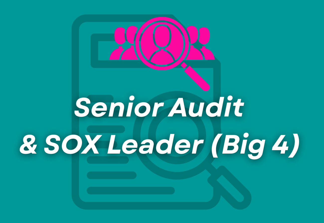 Senior Audit &amp; SOX Leader (Big 4)