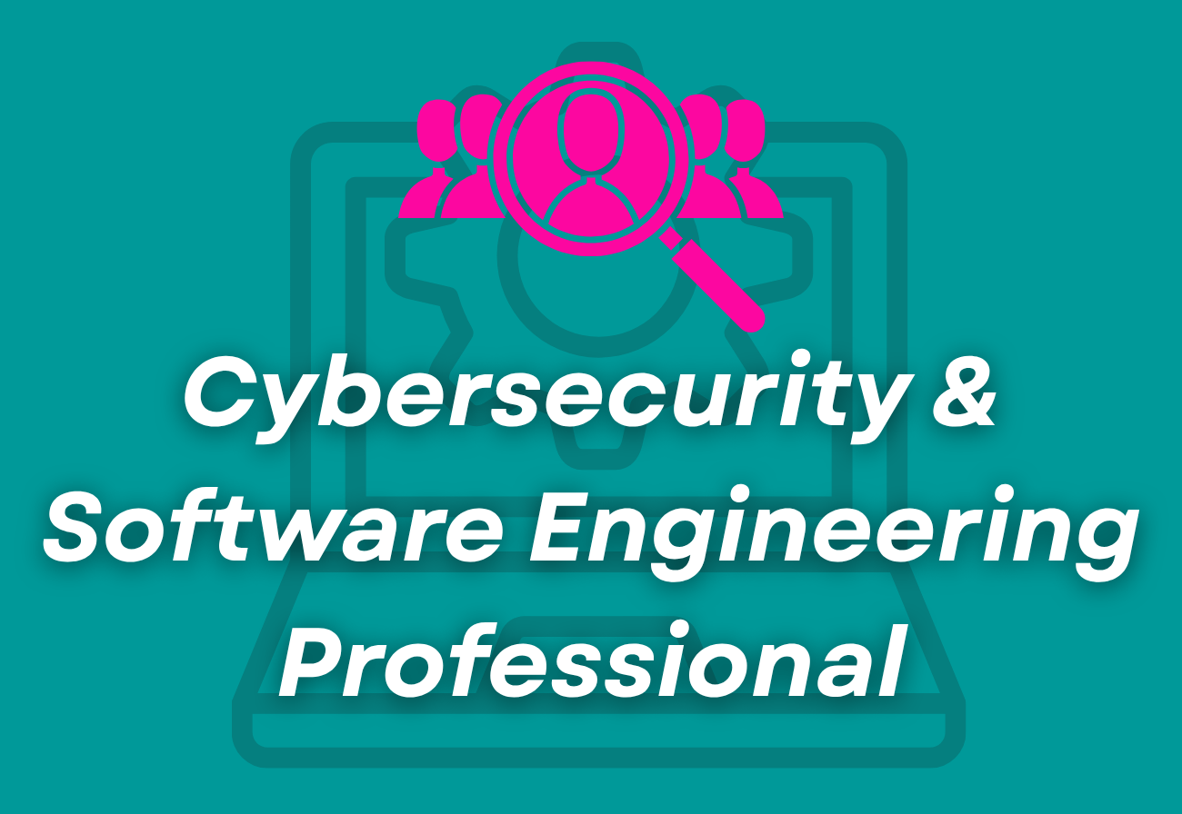 Cybersecurity &amp; Software Engineering Professional