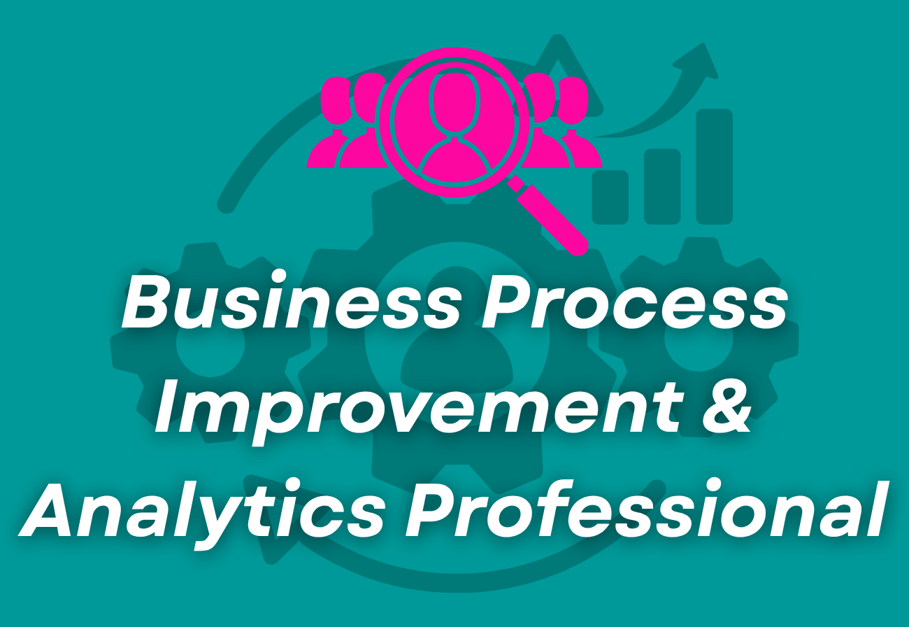 Business Process Improvement &amp; Analytics Professional