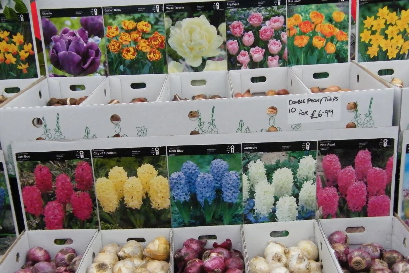 DSCF8034.jpg