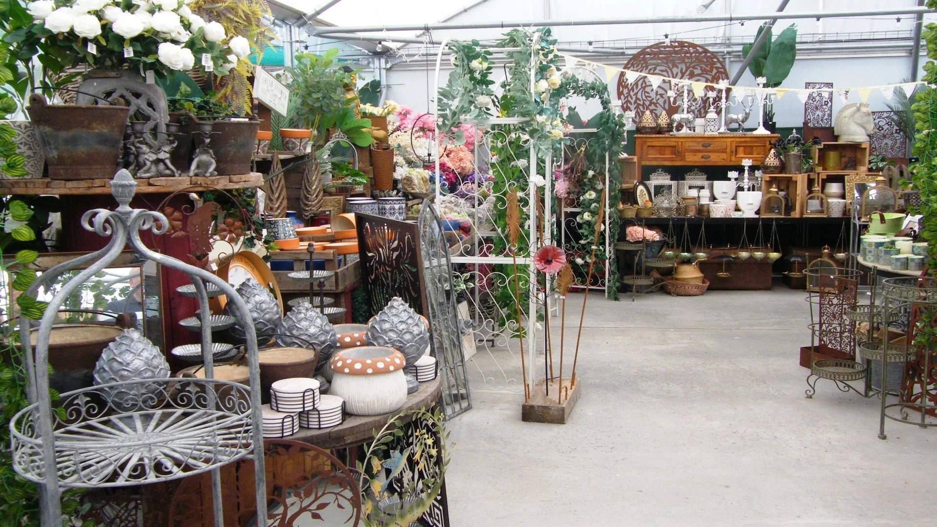 DSCF8114.jpg