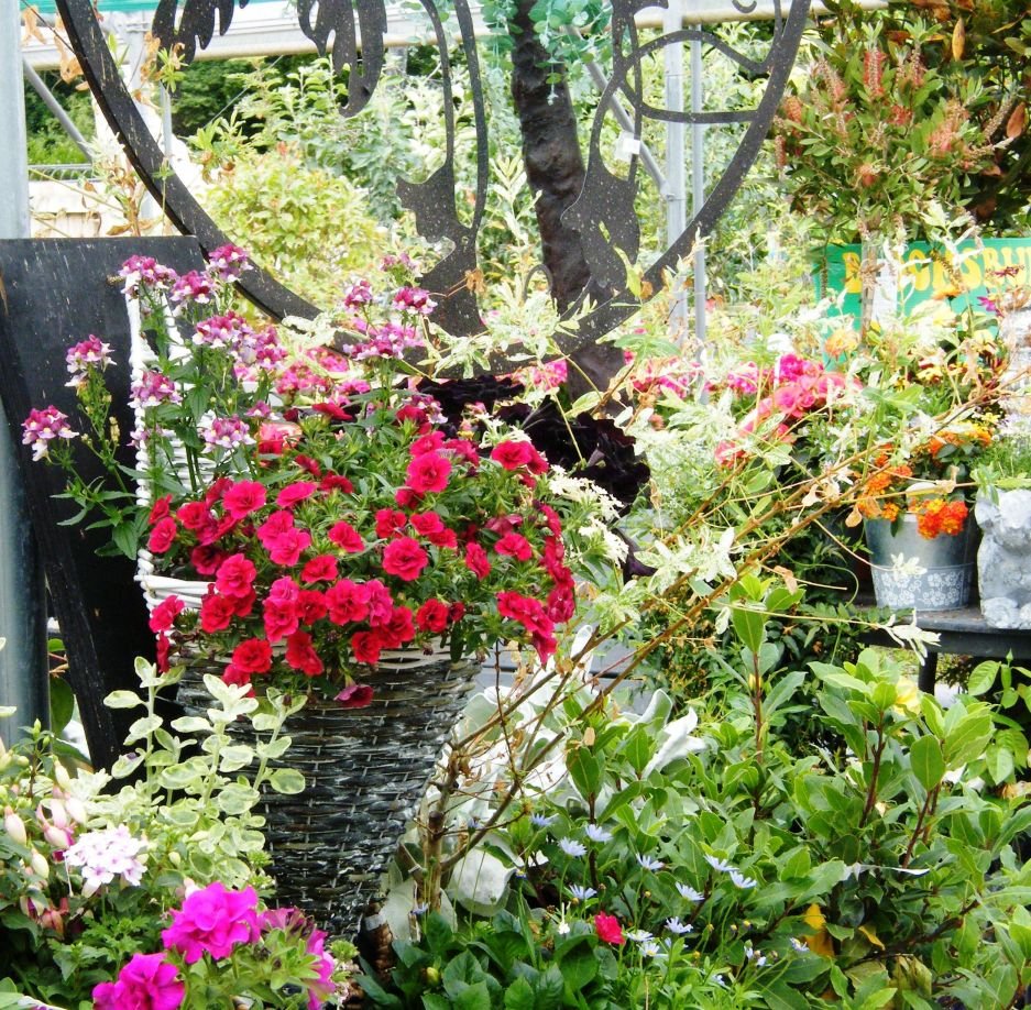 DSCF8729.jpg