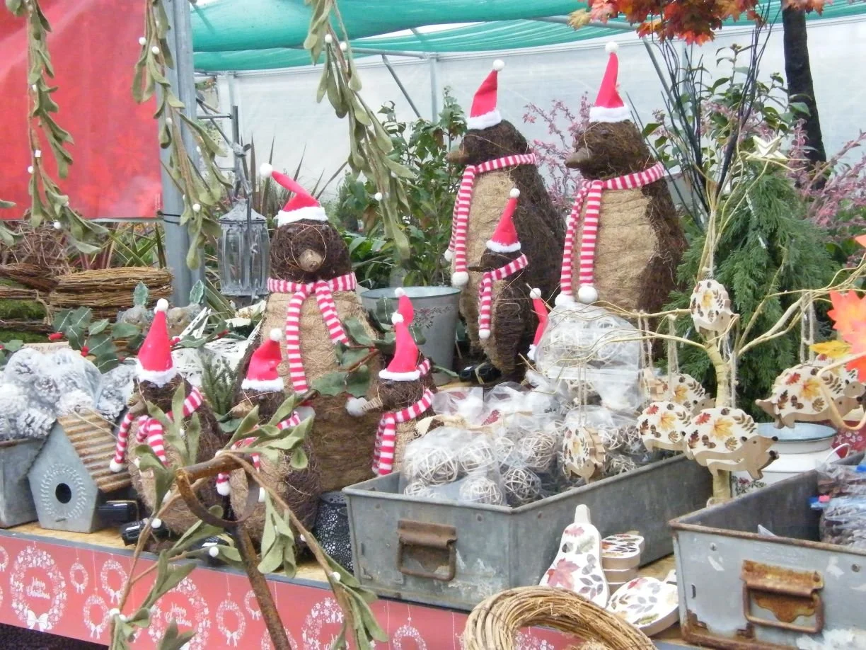 DSCF8252.jpg