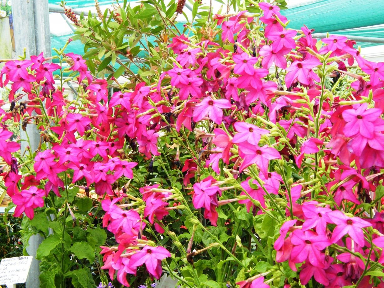 DSCF8728.jpg