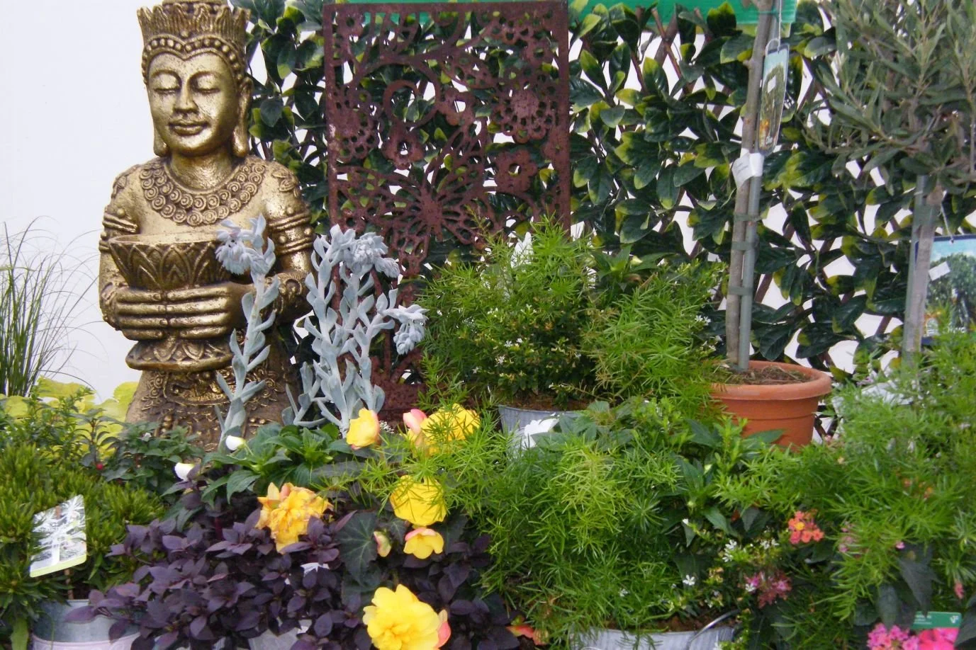 DSCF8074.jpg